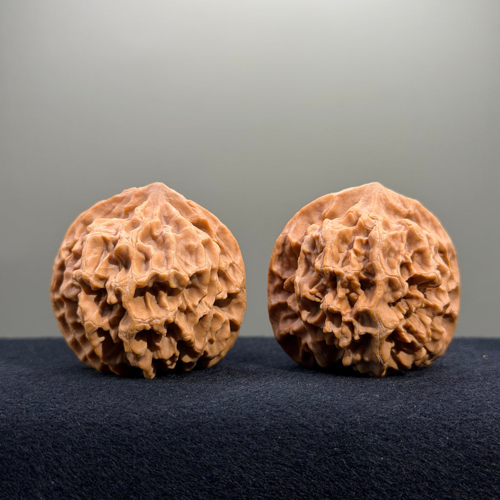Emperor Wenwan Walnut · 42mm · Natural · Select Ritual