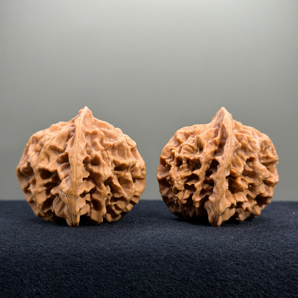 Emperor Wenwan Walnut · 42mm · Natural · Select Ritual