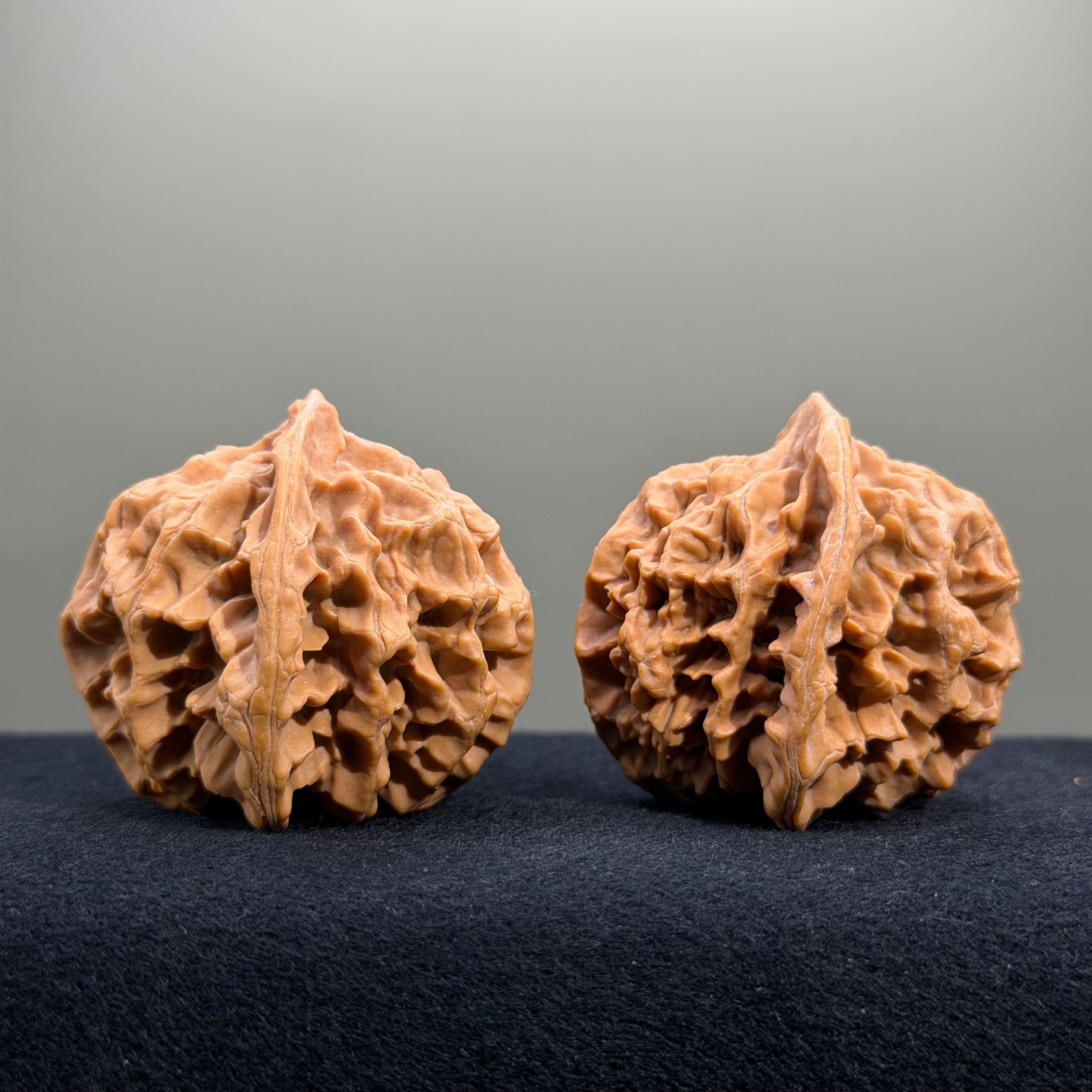 Emperor Wenwan Walnut · 42mm · Natural · Select Ritual