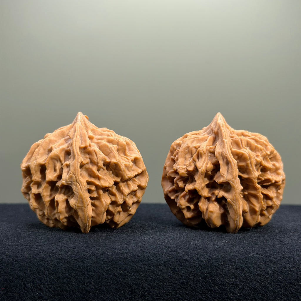 Emperor Wenwan Walnut · 42mm · Natural · Select Ritual