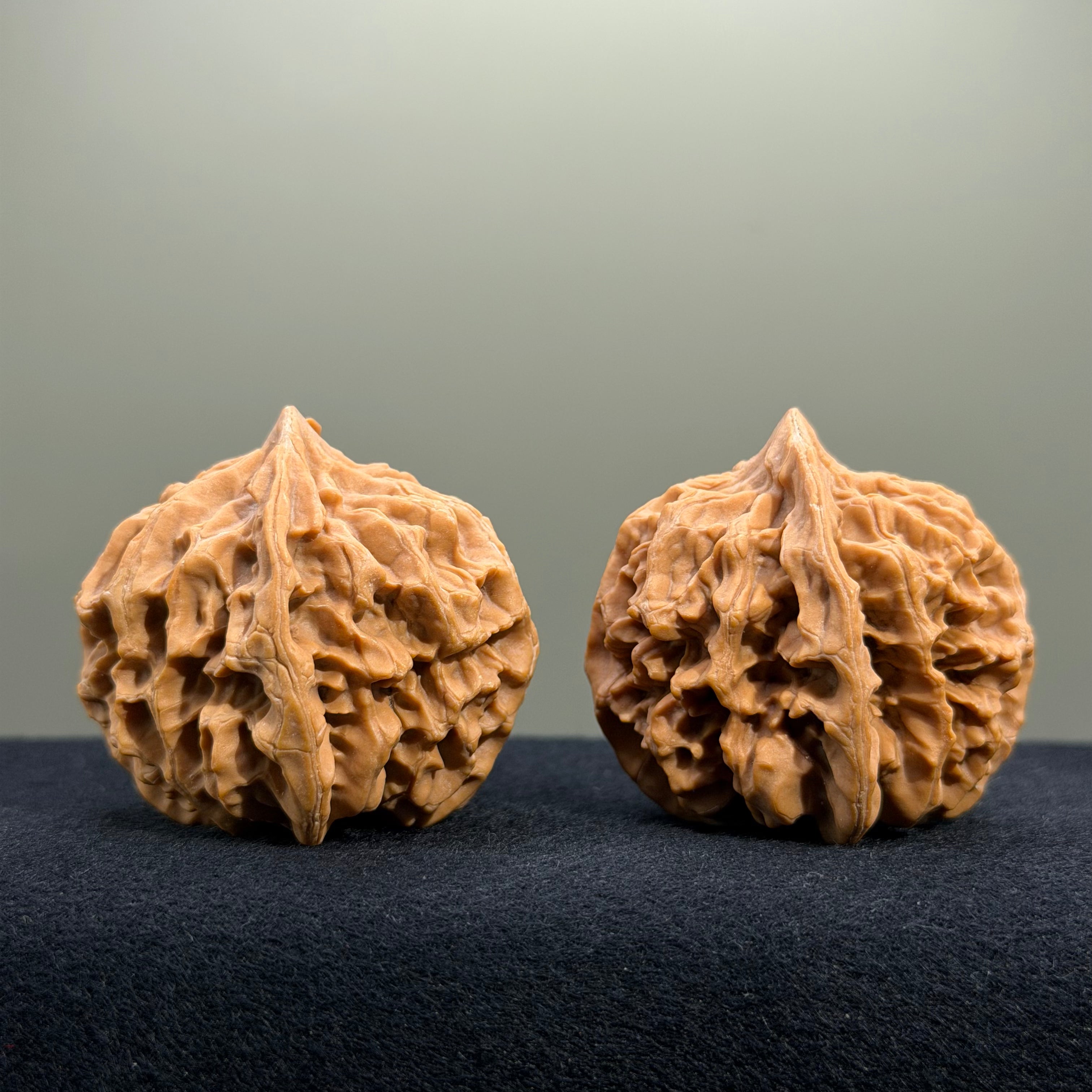 Emperor Wenwan Walnut · 42mm · Natural · Select Ritual