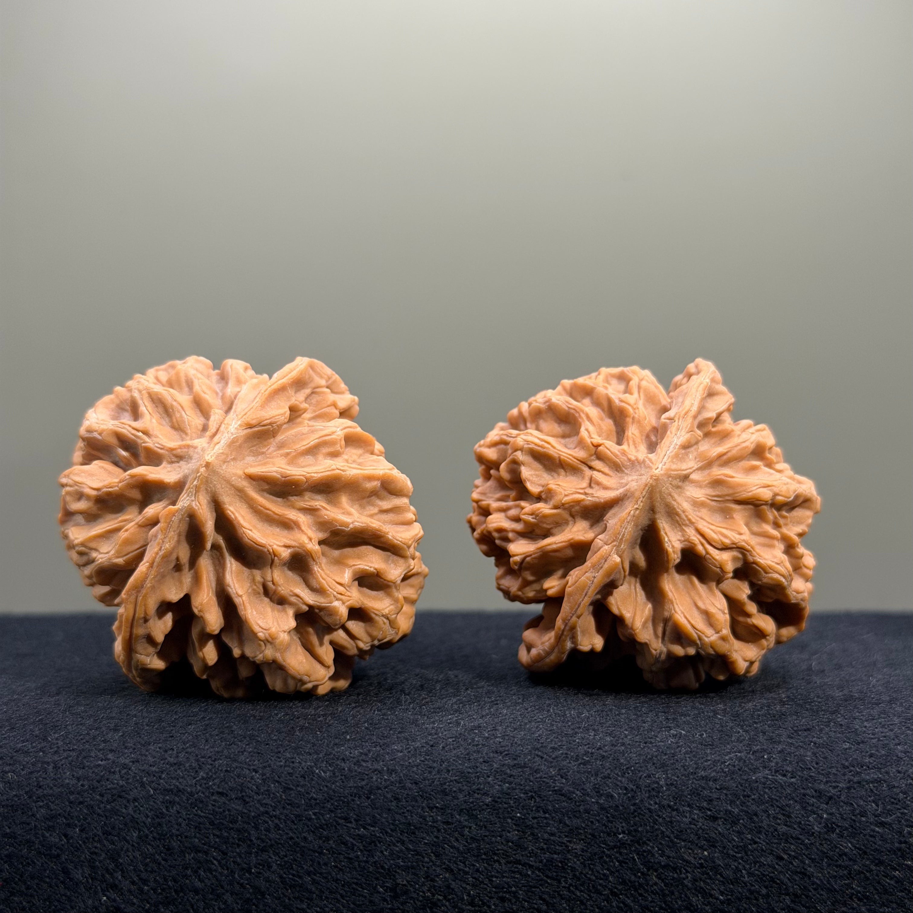 Emperor Wenwan Walnut · 42mm · Natural · Select Ritual