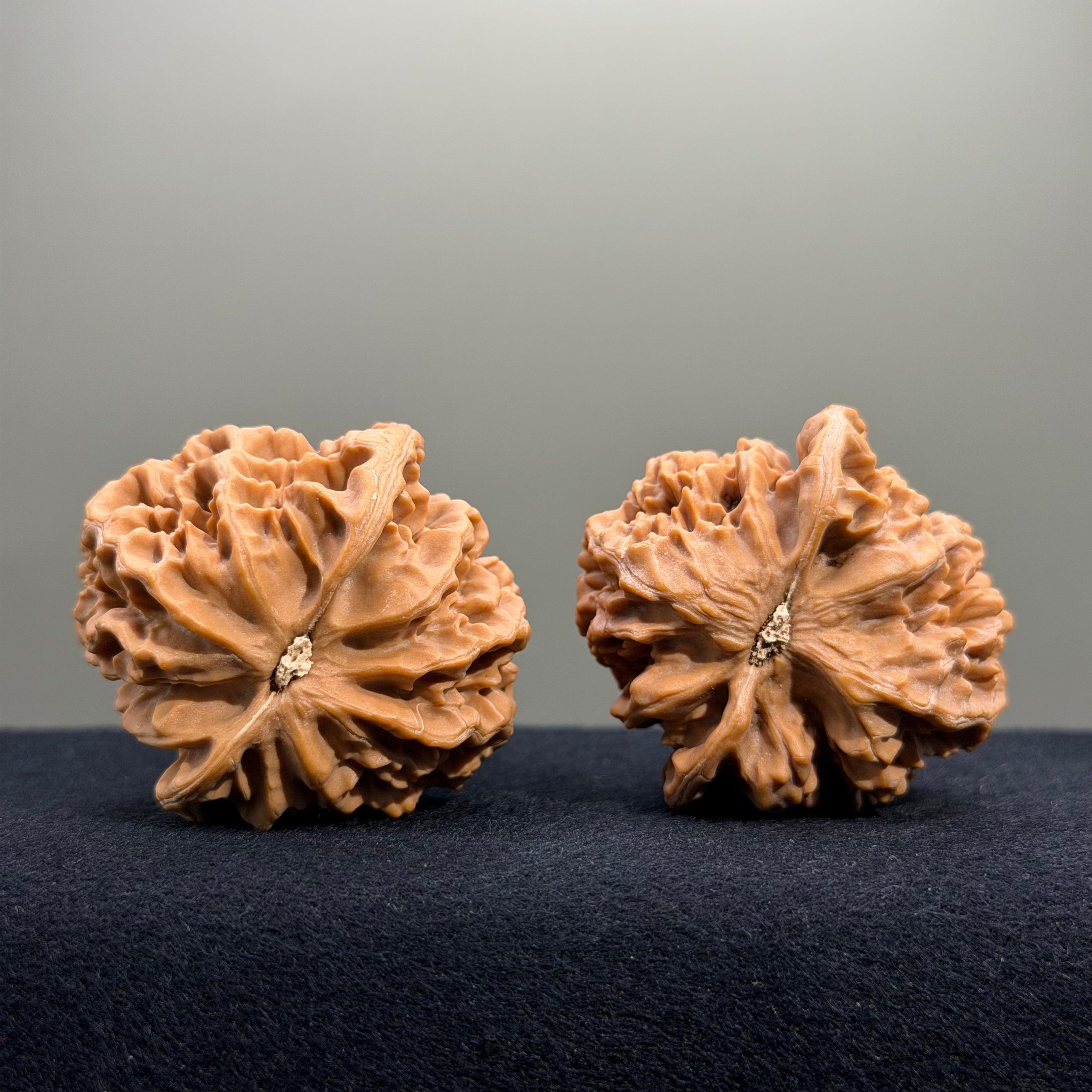 Emperor Wenwan Walnut · 42mm · Natural · Select Ritual