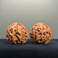 Triangular · Apple Orchard Wenwan Walnut · 39mm · Natural · Select Ritual