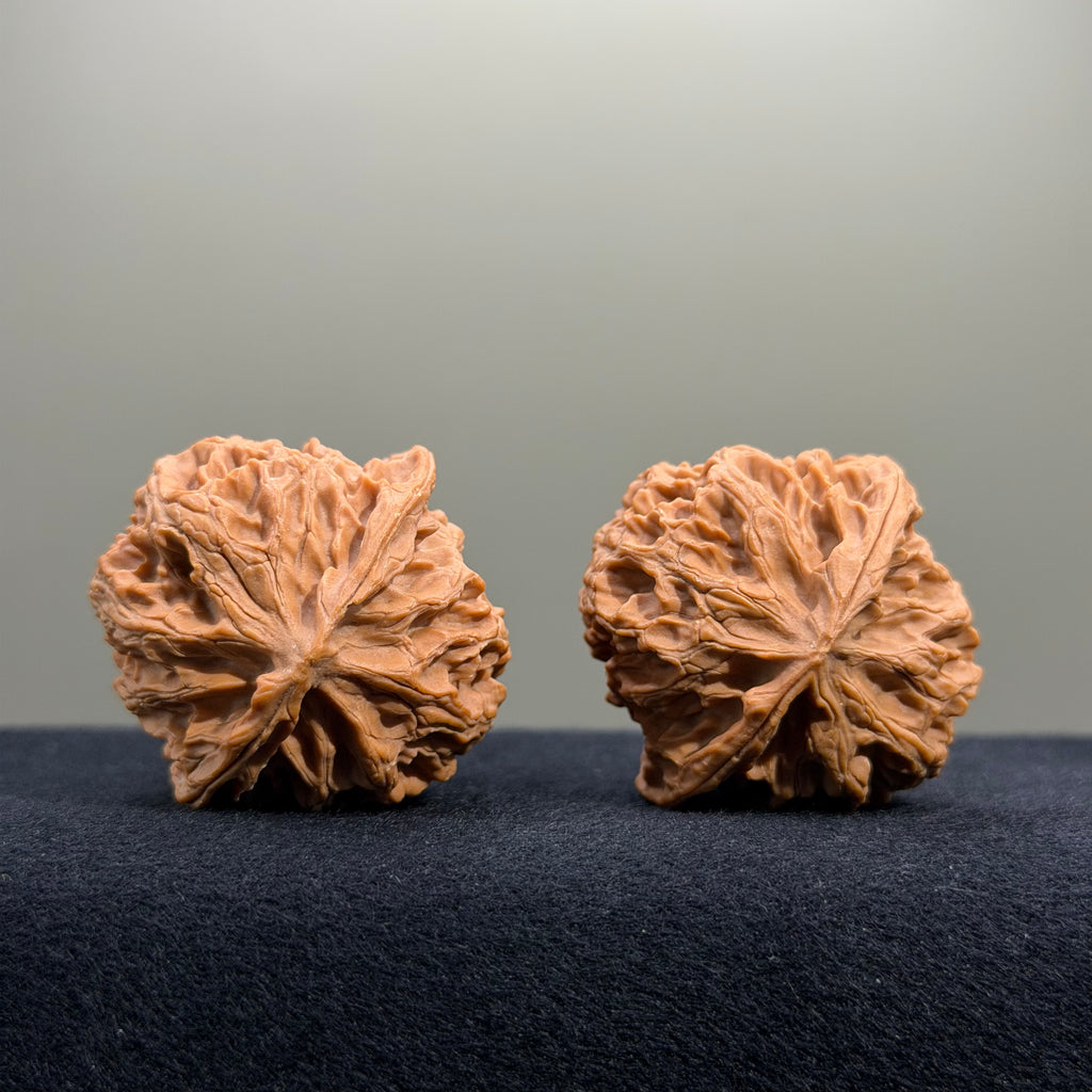 Triangular · Apple Orchard Wenwan Walnut · 39mm · Natural · Select Ritual