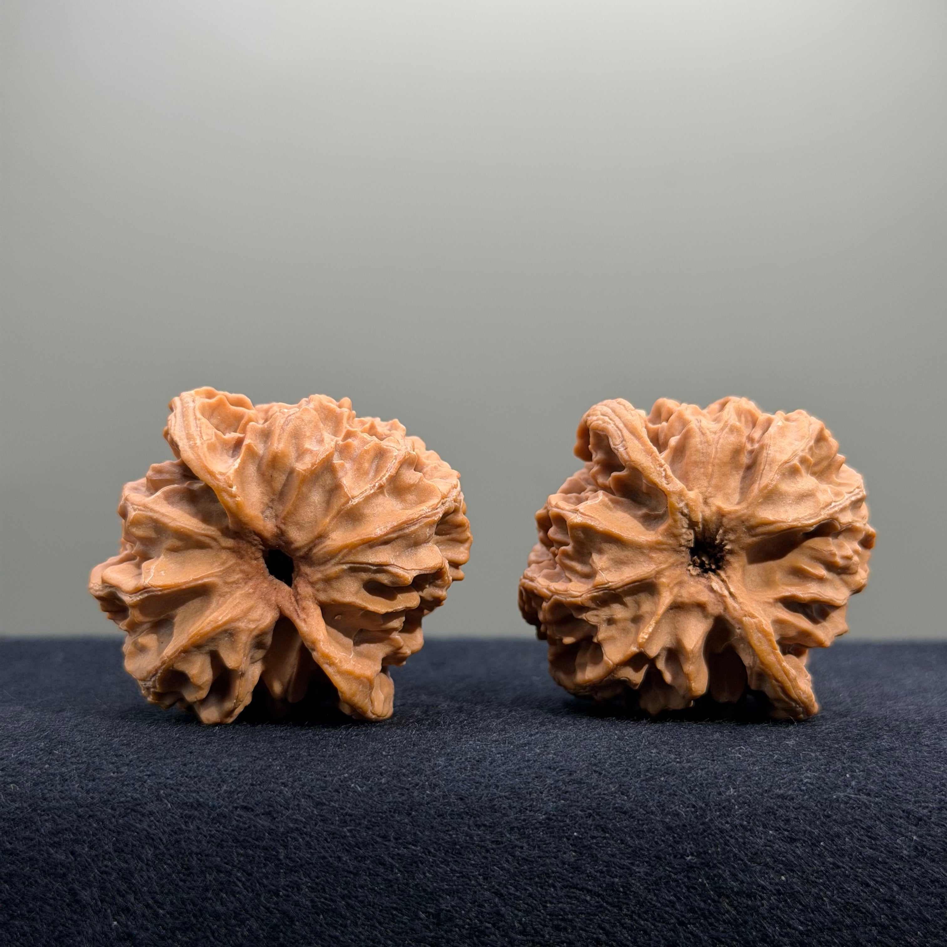 Triangular · Apple Orchard Wenwan Walnut · 39mm · Natural · Select Ritual
