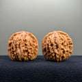 Four Towers Wenwan Walnut · 41mm · Entry Ritual