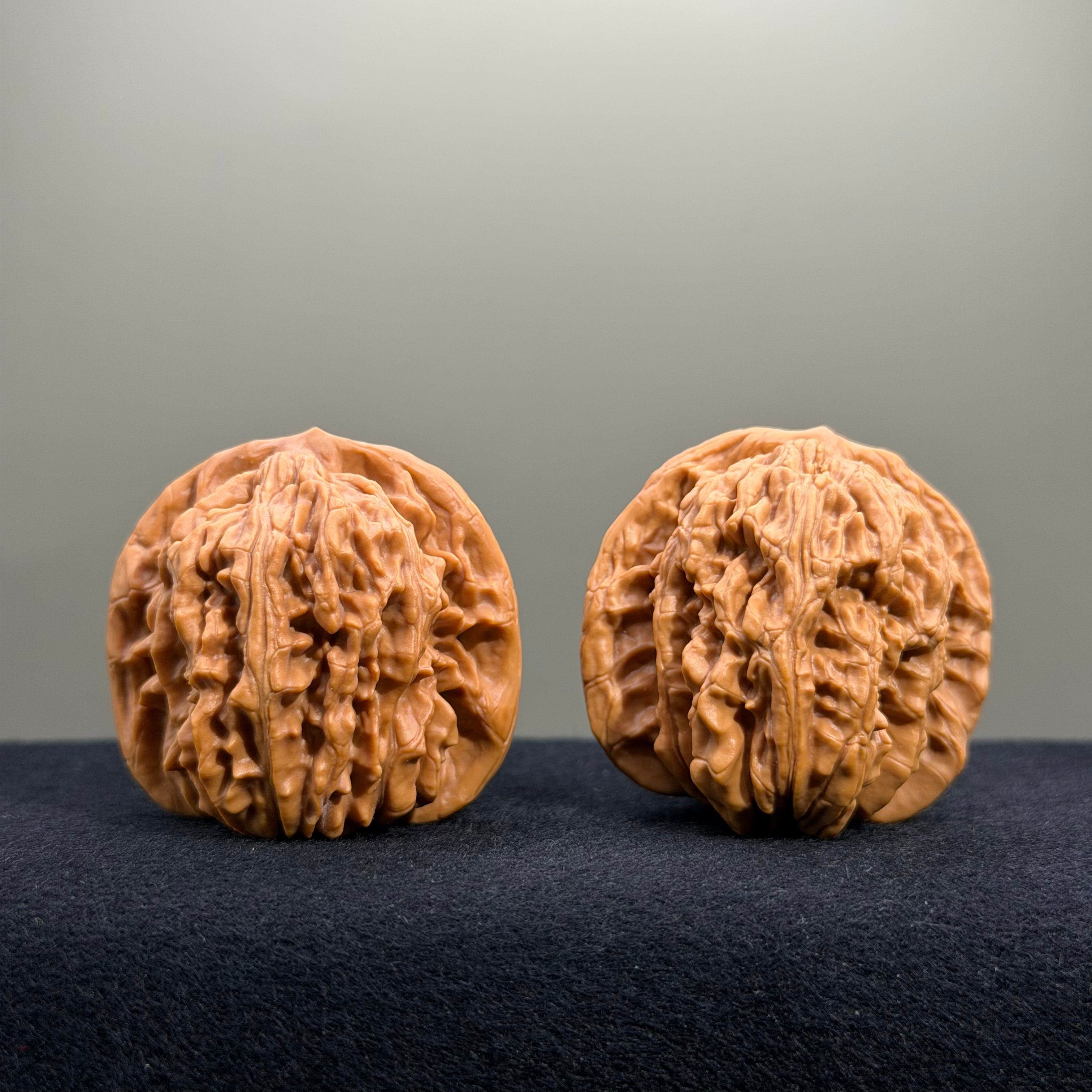 Four Towers Wenwan Walnut · 41mm · Entry Ritual