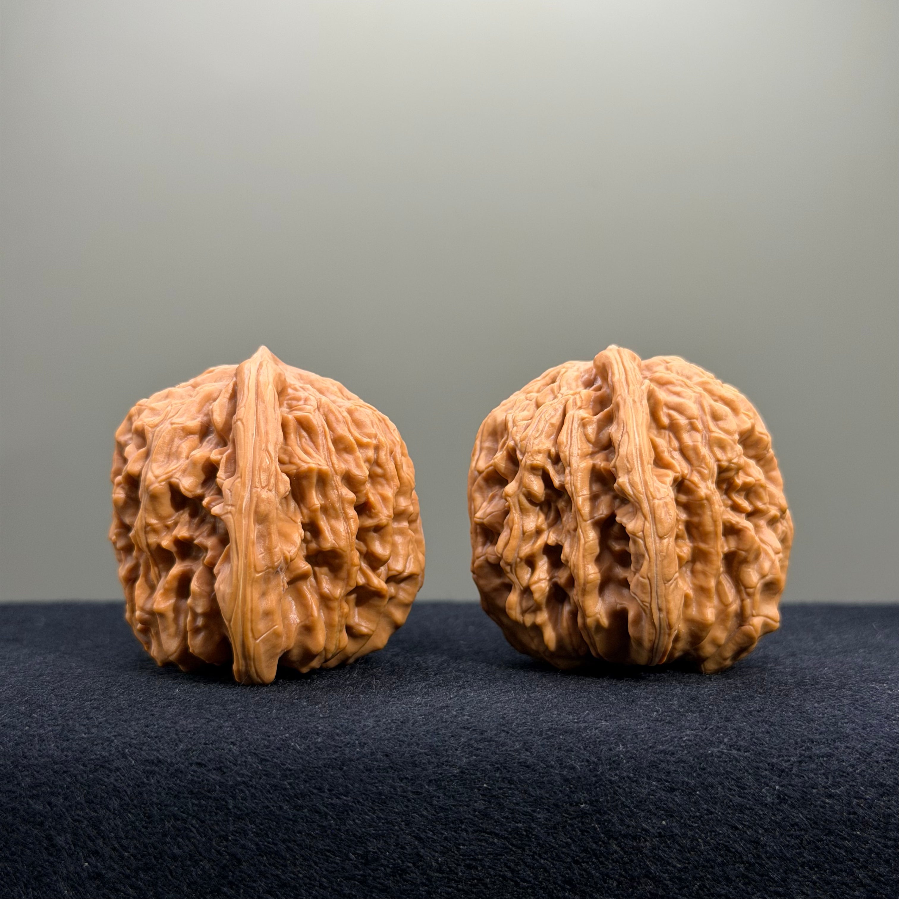 Four Towers Wenwan Walnut · 41mm · Entry Ritual