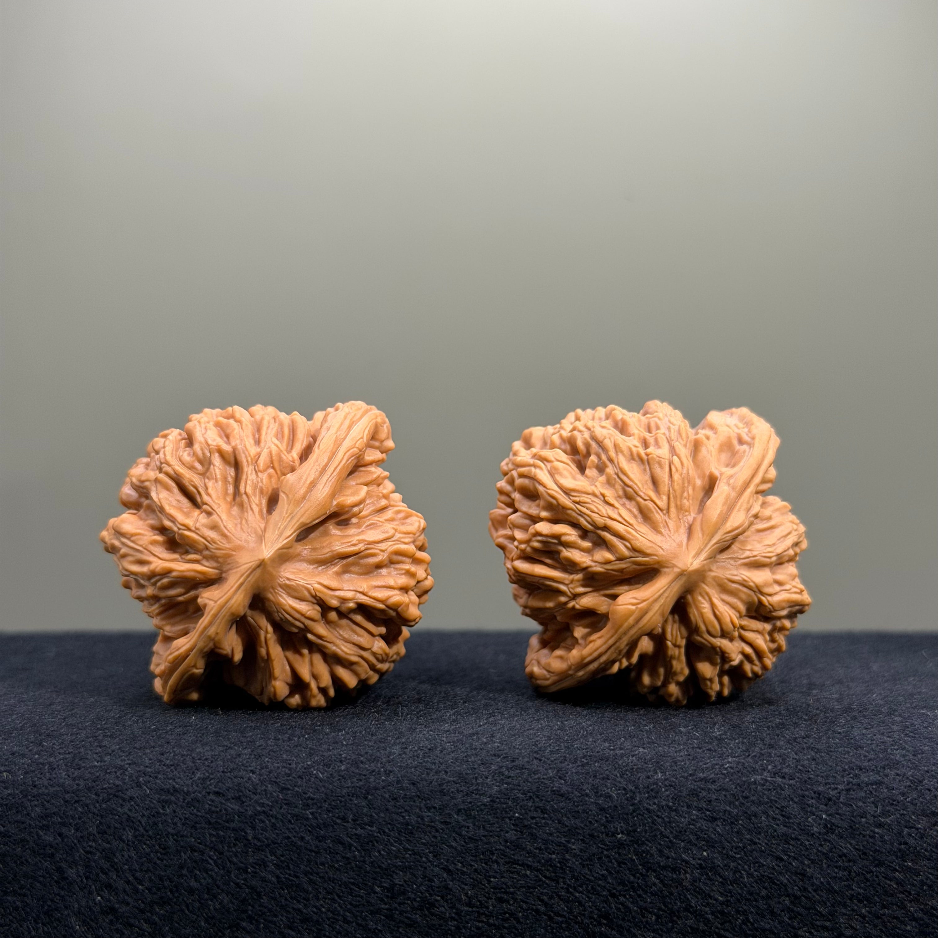 Four Towers Wenwan Walnut · 41mm · Entry Ritual