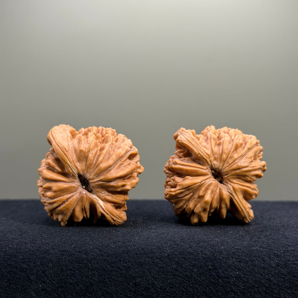 Four Towers Wenwan Walnut · 41mm · Entry Ritual