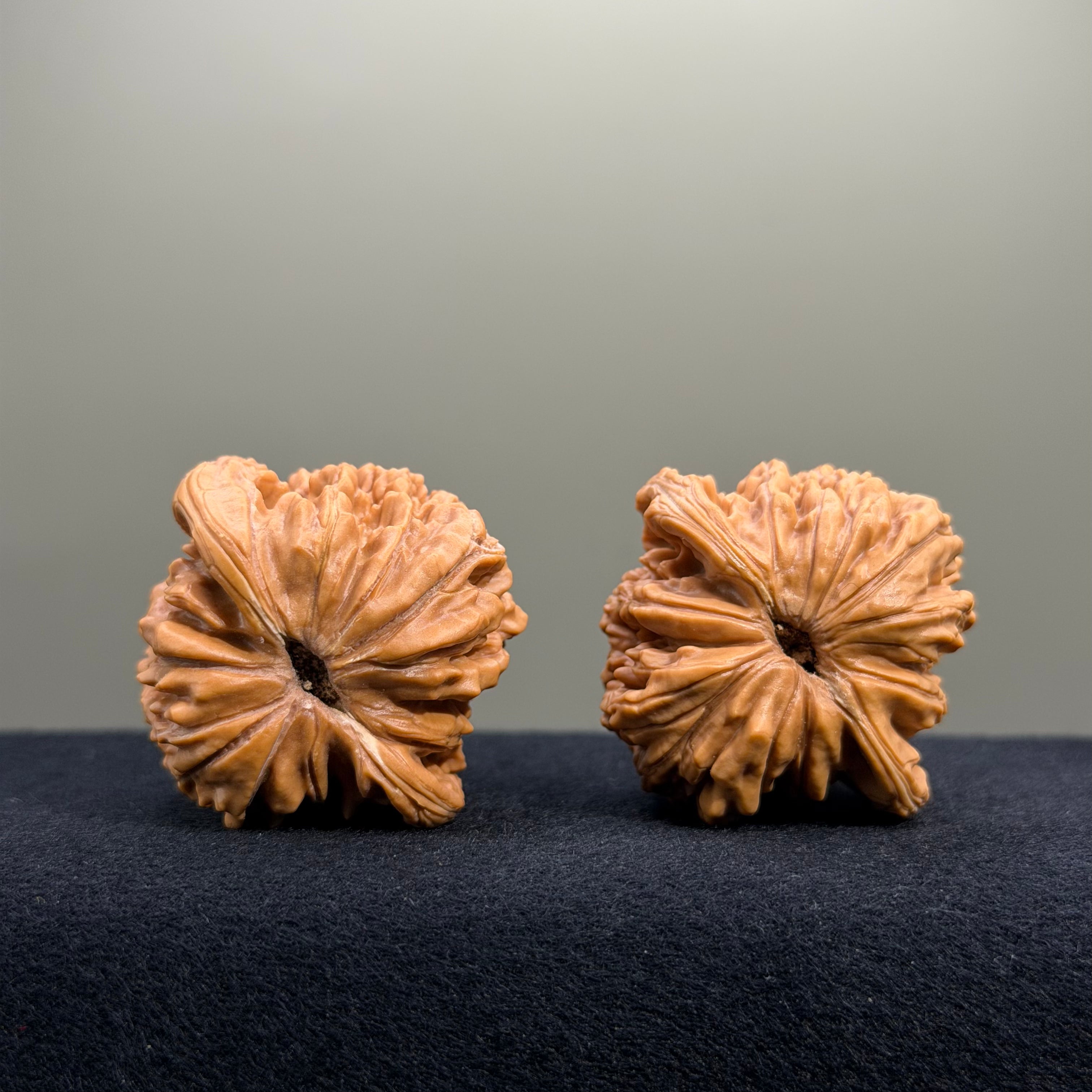 Four Towers Wenwan Walnut · 41mm · Entry Ritual