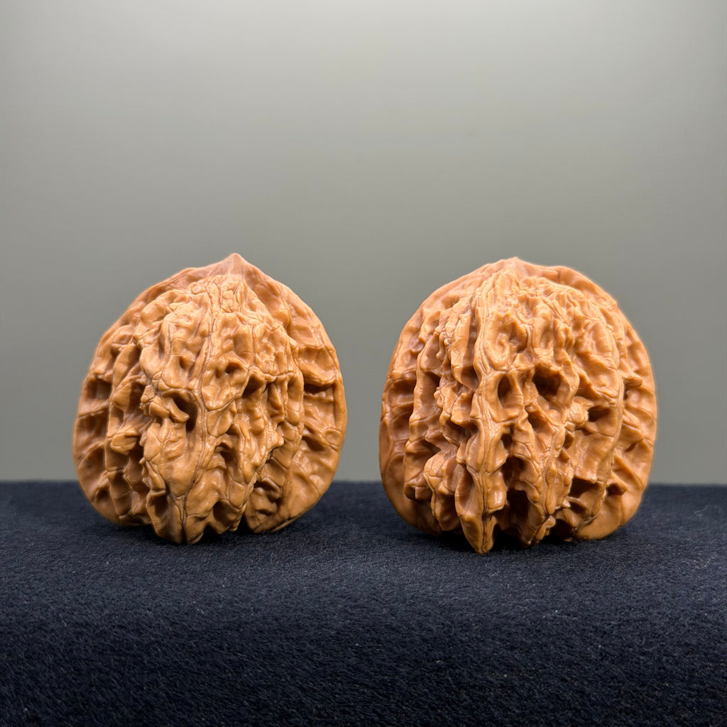 Coiled Dragon Tiger Head Wenwan Walnut · 42mm · Natural · Entry Ritual