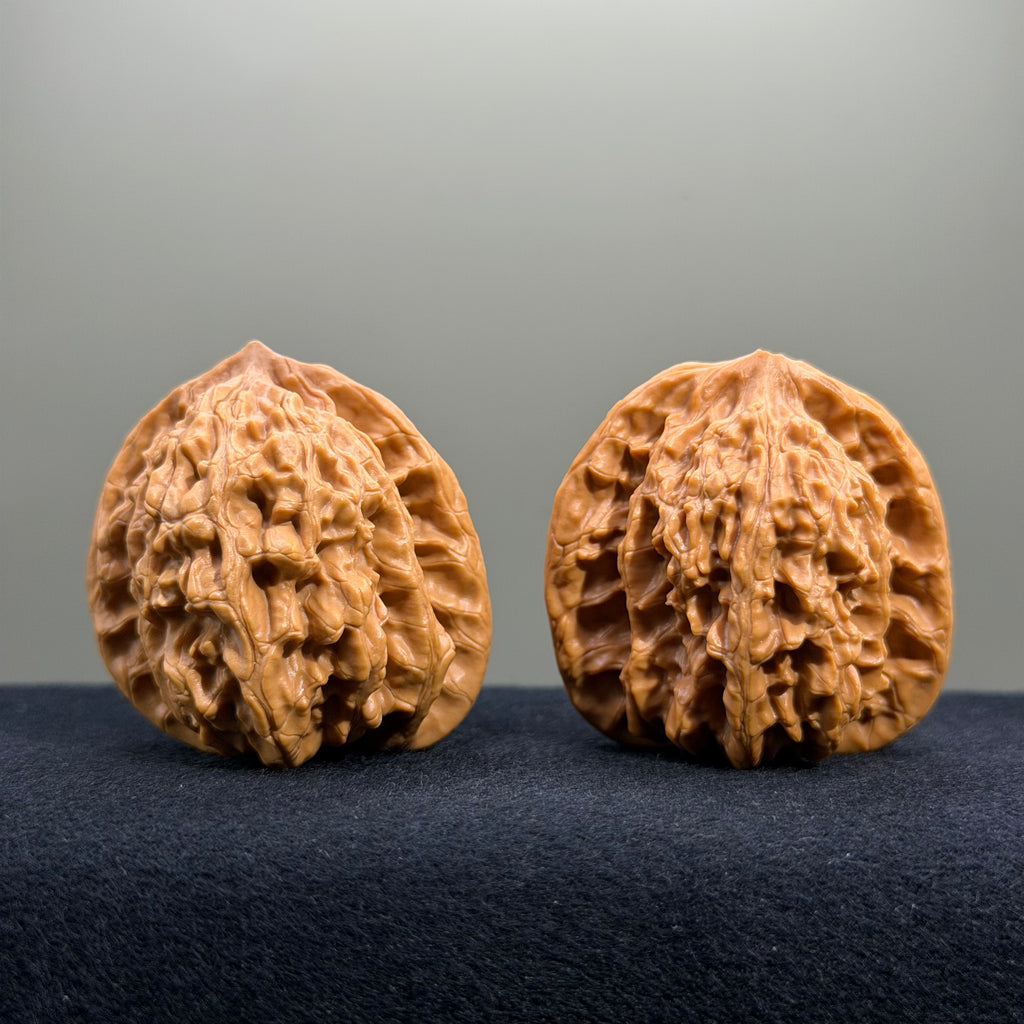 Coiled Dragon Tiger Head Wenwan Walnut · 42mm · Natural · Entry Ritual