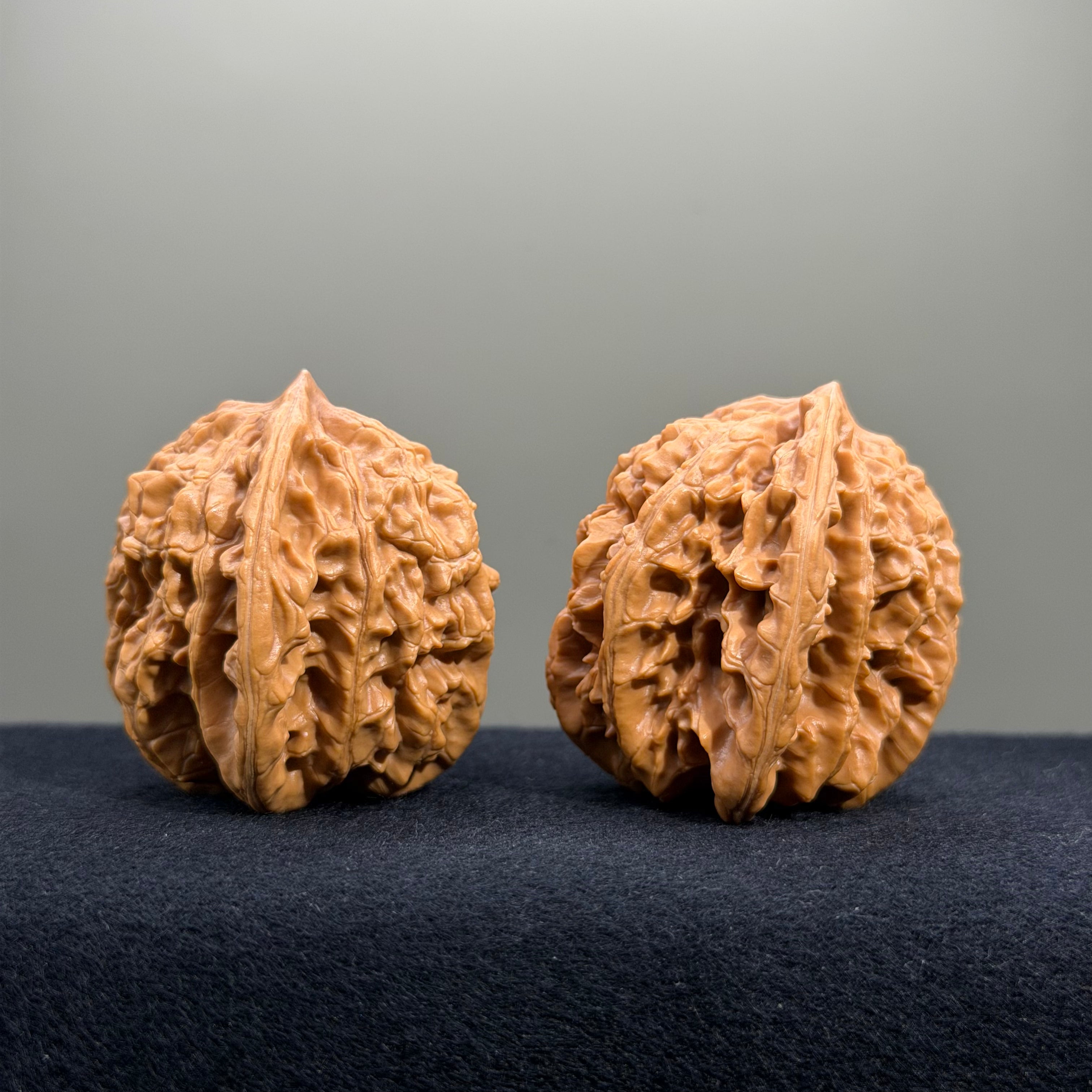 Coiled Dragon Tiger Head Wenwan Walnut · 42mm · Natural · Entry Ritual