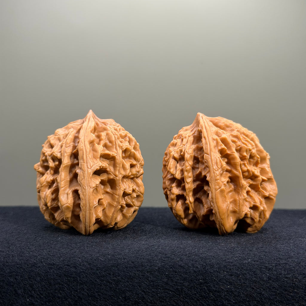 Coiled Dragon Tiger Head Wenwan Walnut · 42mm · Natural · Entry Ritual