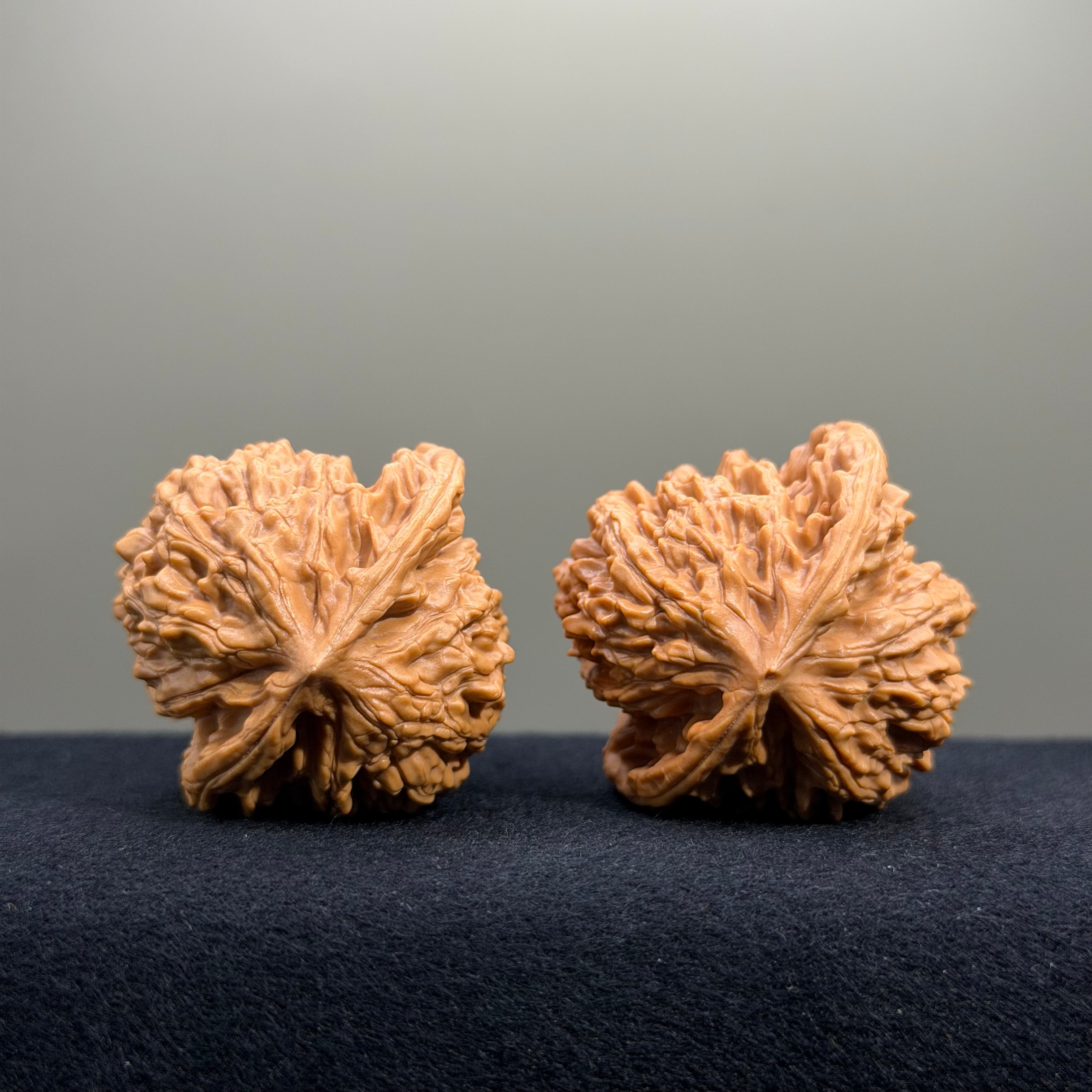 Coiled Dragon Tiger Head Wenwan Walnut · 42mm · Natural · Entry Ritual