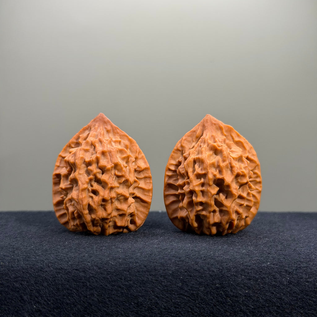 Fish Scale Wenwan Walnut · 34mm · Natural · Premium Ritual