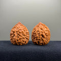 Fish Scale Wenwan Walnut · 34mm · Natural · Premium Ritual