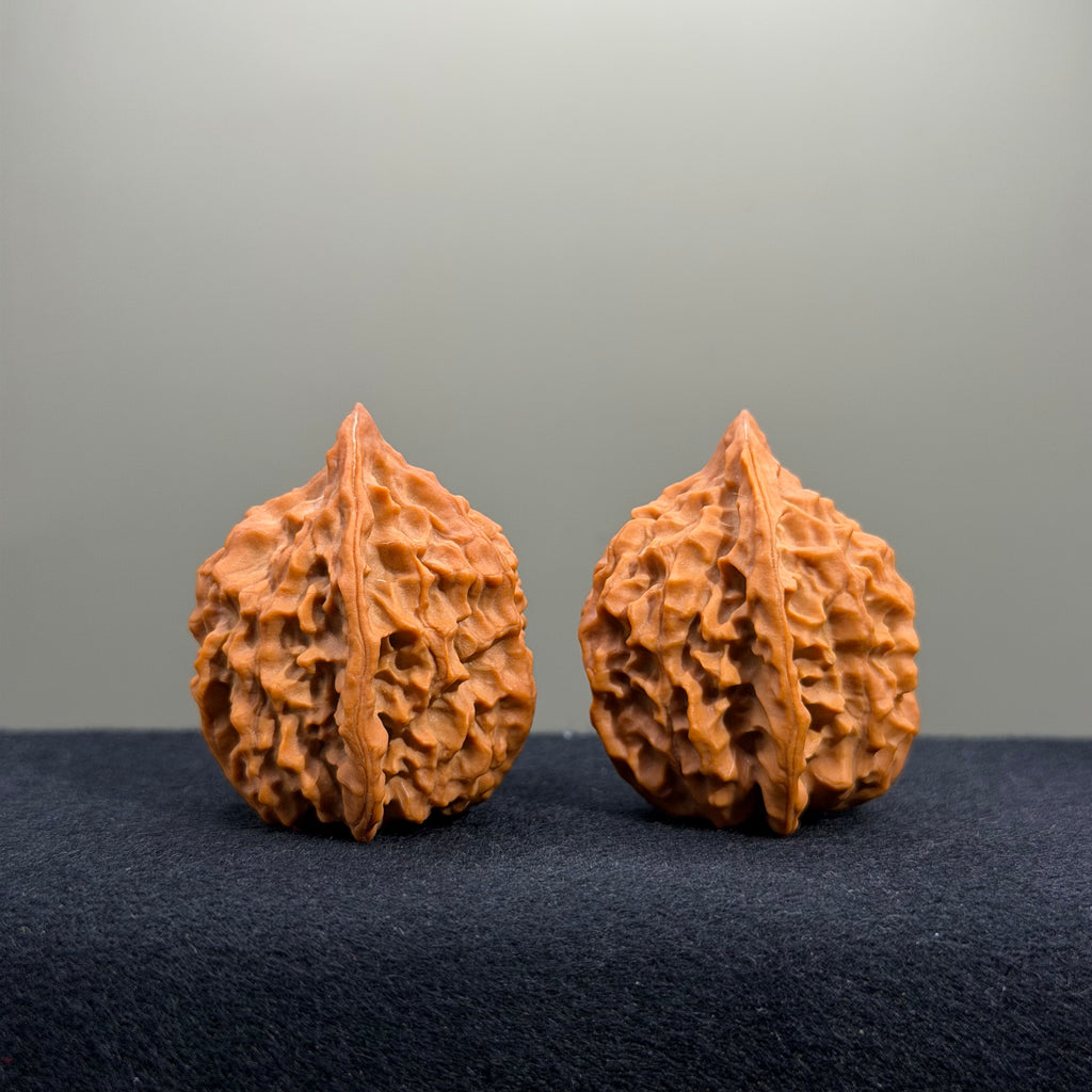 Fish Scale Wenwan Walnut · 34mm · Natural · Premium Ritual