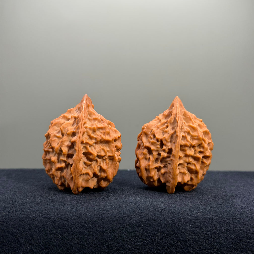 Fish Scale Wenwan Walnut · 34mm · Natural · Premium Ritual