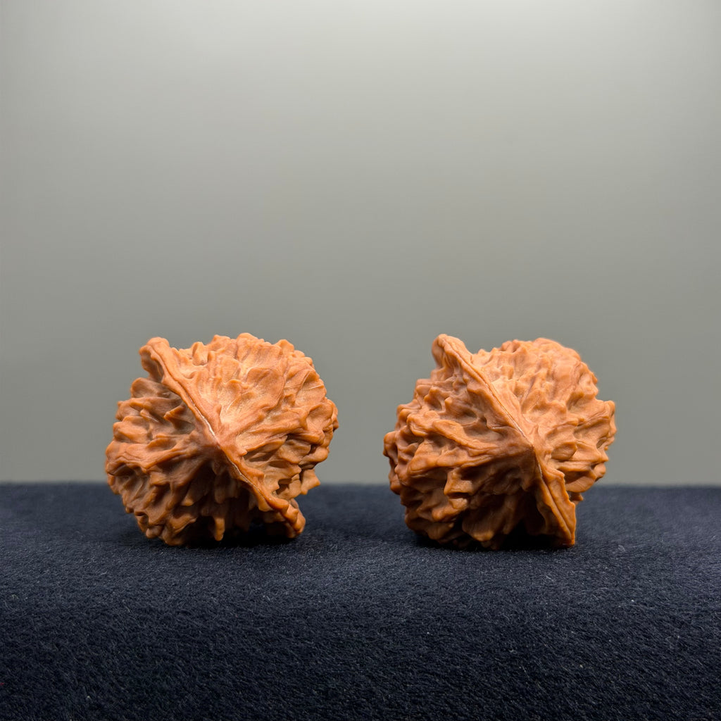 Fish Scale Wenwan Walnut · 34mm · Natural · Premium Ritual