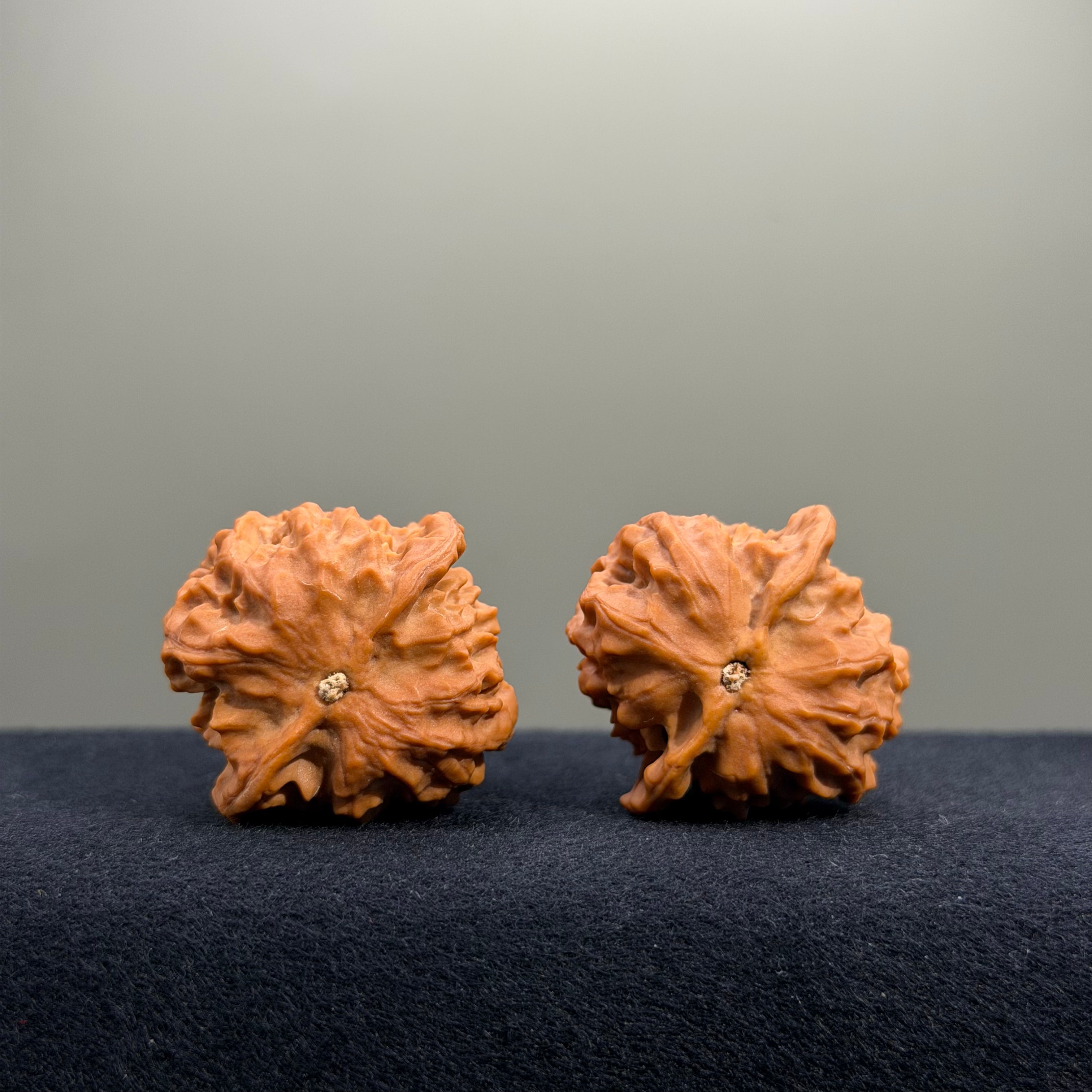 Fish Scale Wenwan Walnut · 34mm · Natural · Premium Ritual