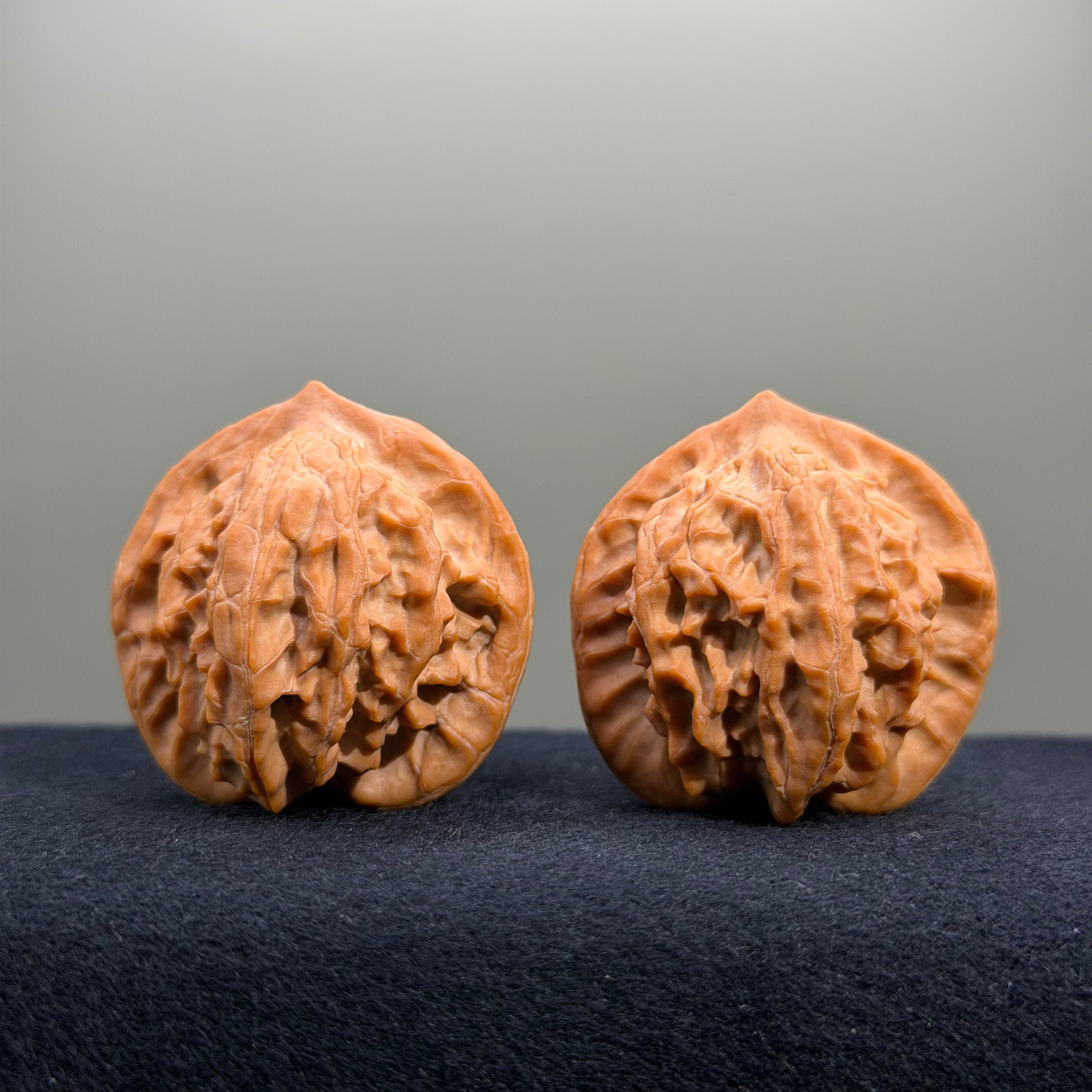 Golden Prince Wenwan Walnut · 39mm · Natural · Premium Ritual