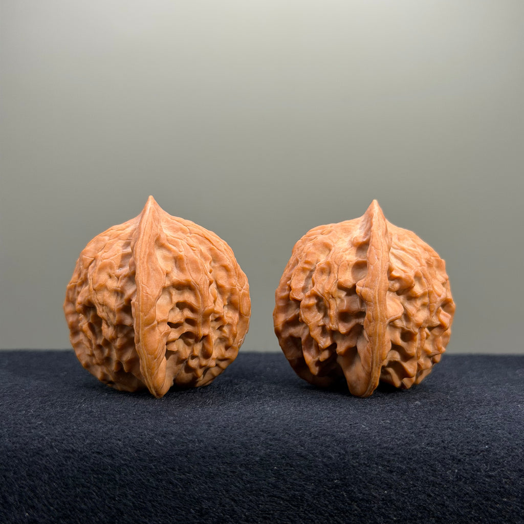 Golden Prince Wenwan Walnut · 39mm · Natural · Premium Ritual