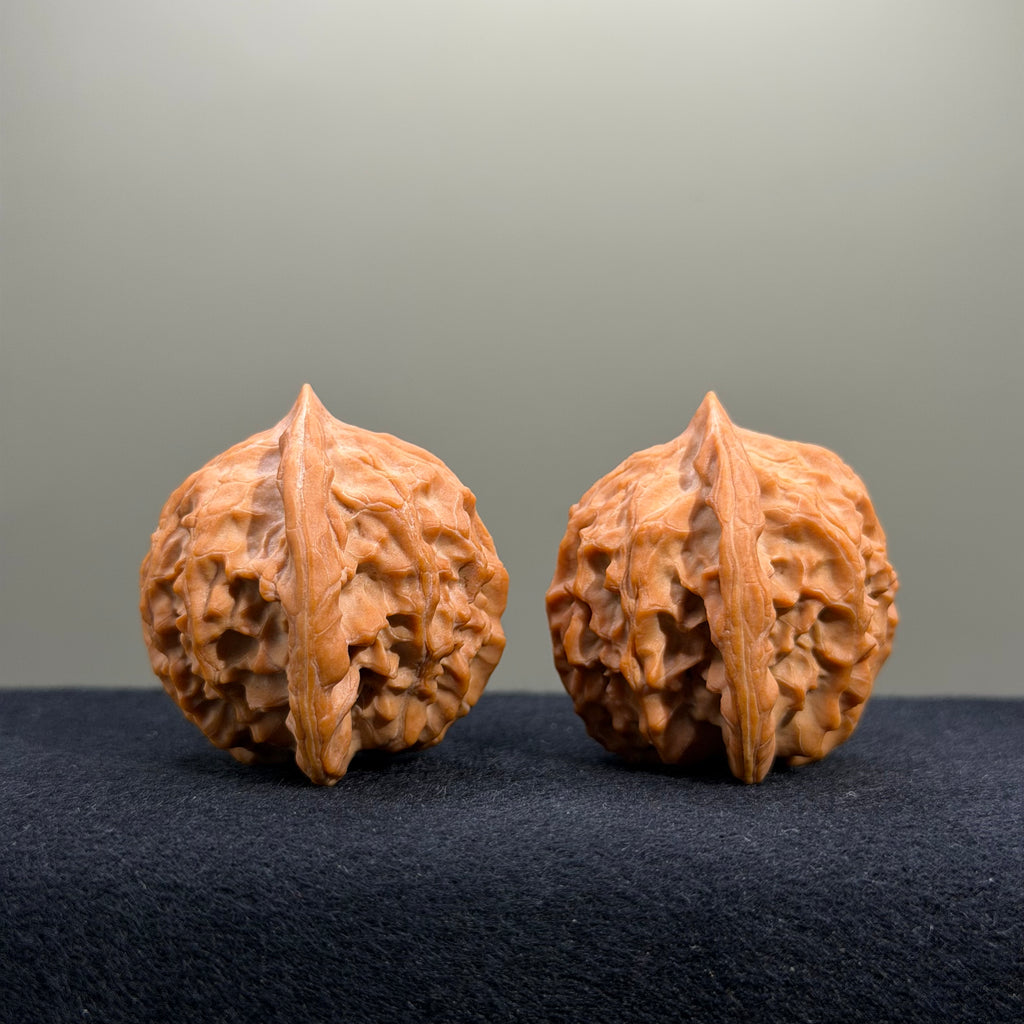 Golden Prince Wenwan Walnut · 39mm · Natural · Premium Ritual