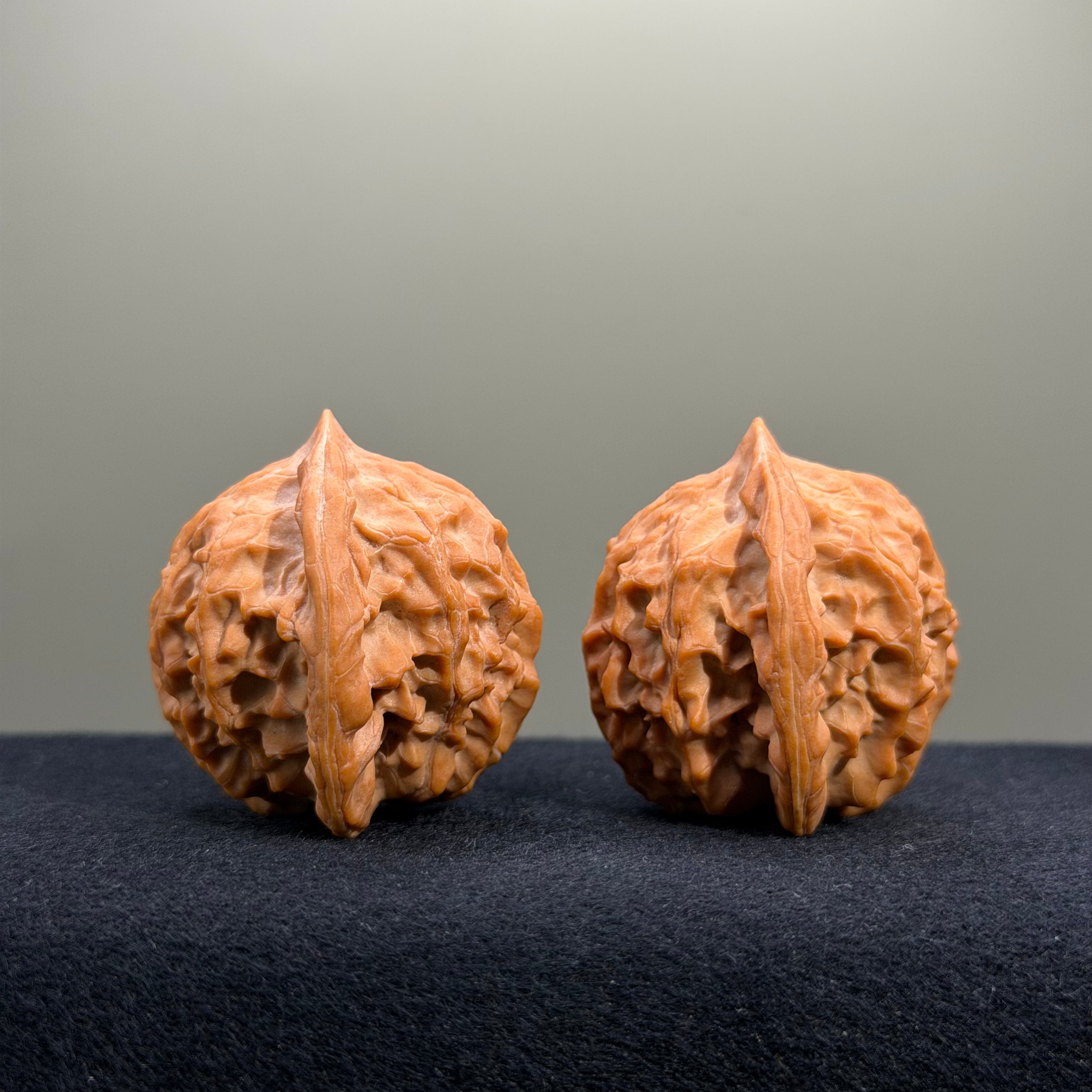 Golden Prince Wenwan Walnut · 39mm · Natural · Premium Ritual