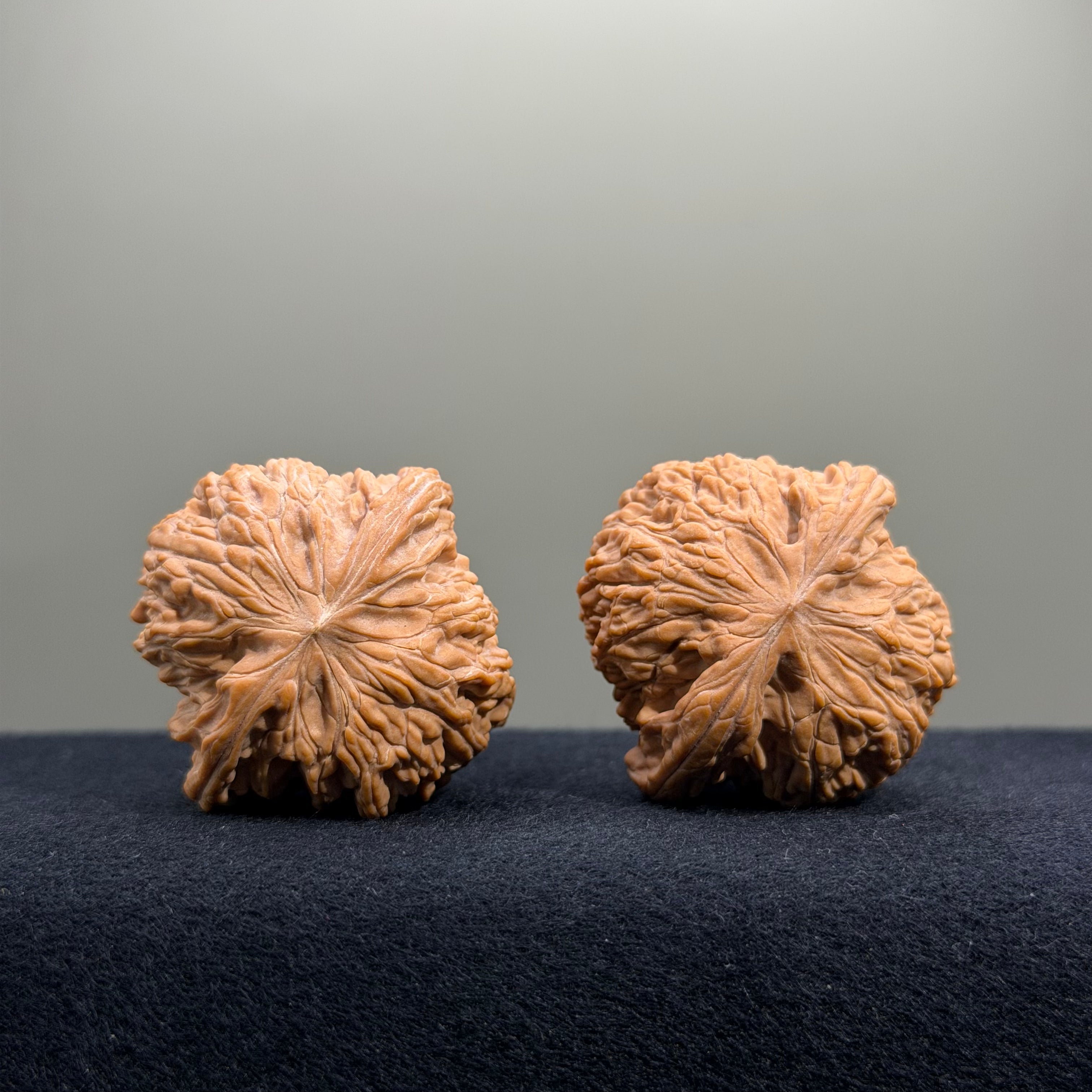 Flat Tip & Bottom · Millstone Wenwan Walnut · 39mm · Natural · Select Ritual