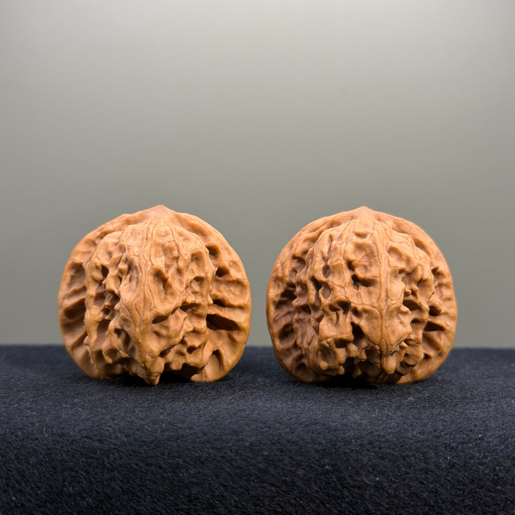 Wild Wolf Wenwan Walnut · 39mm · Natural · Premium Ritual