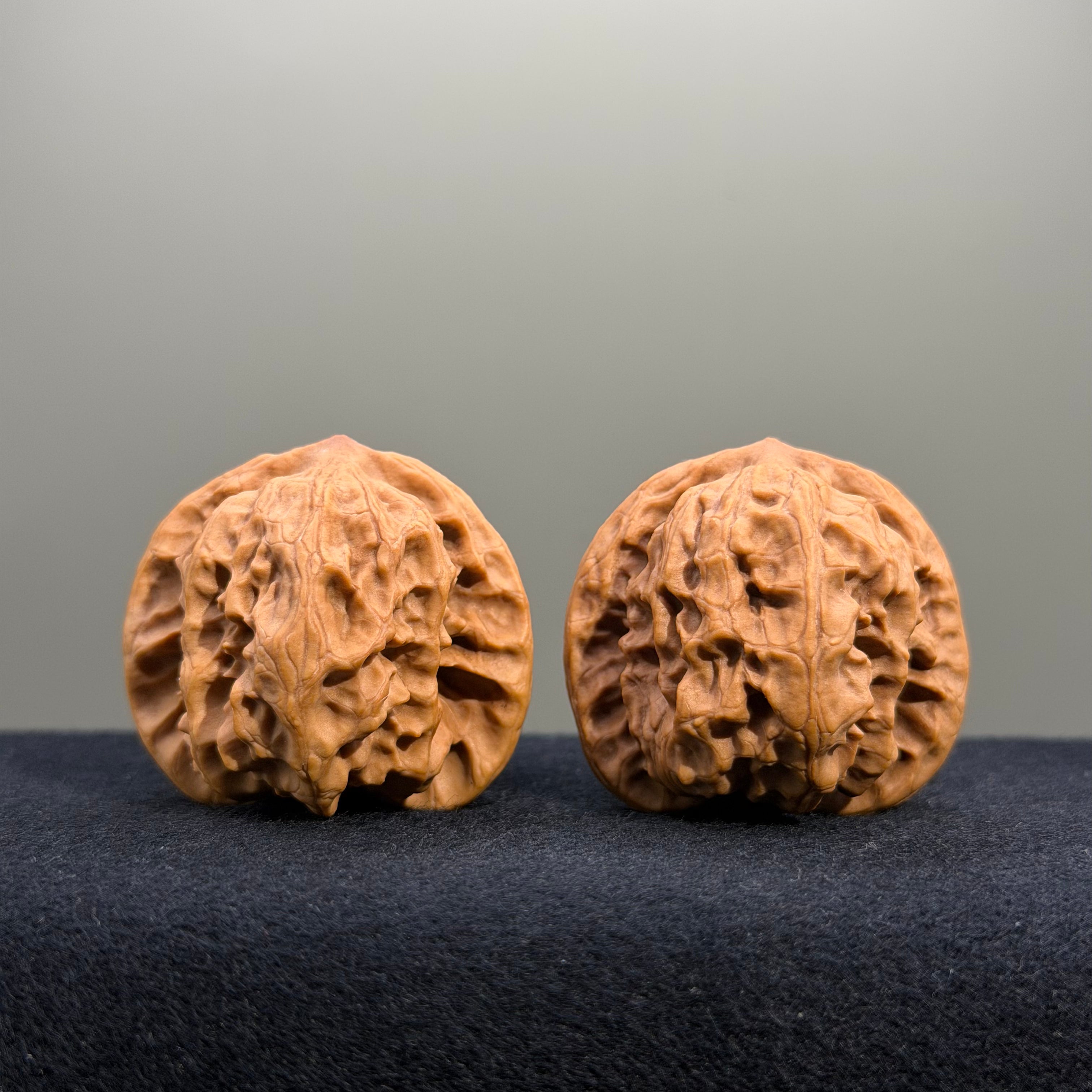 Wild Wolf Wenwan Walnut · 39mm · Natural · Premium Ritual