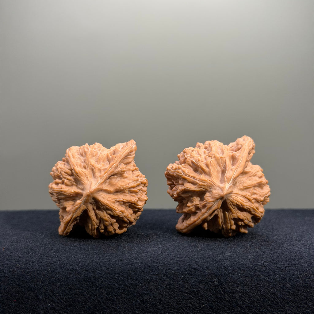 Heart Shape · Cuikai Scholar Cap Wenwan Walnut · 42mm · Natural · Select Ritual