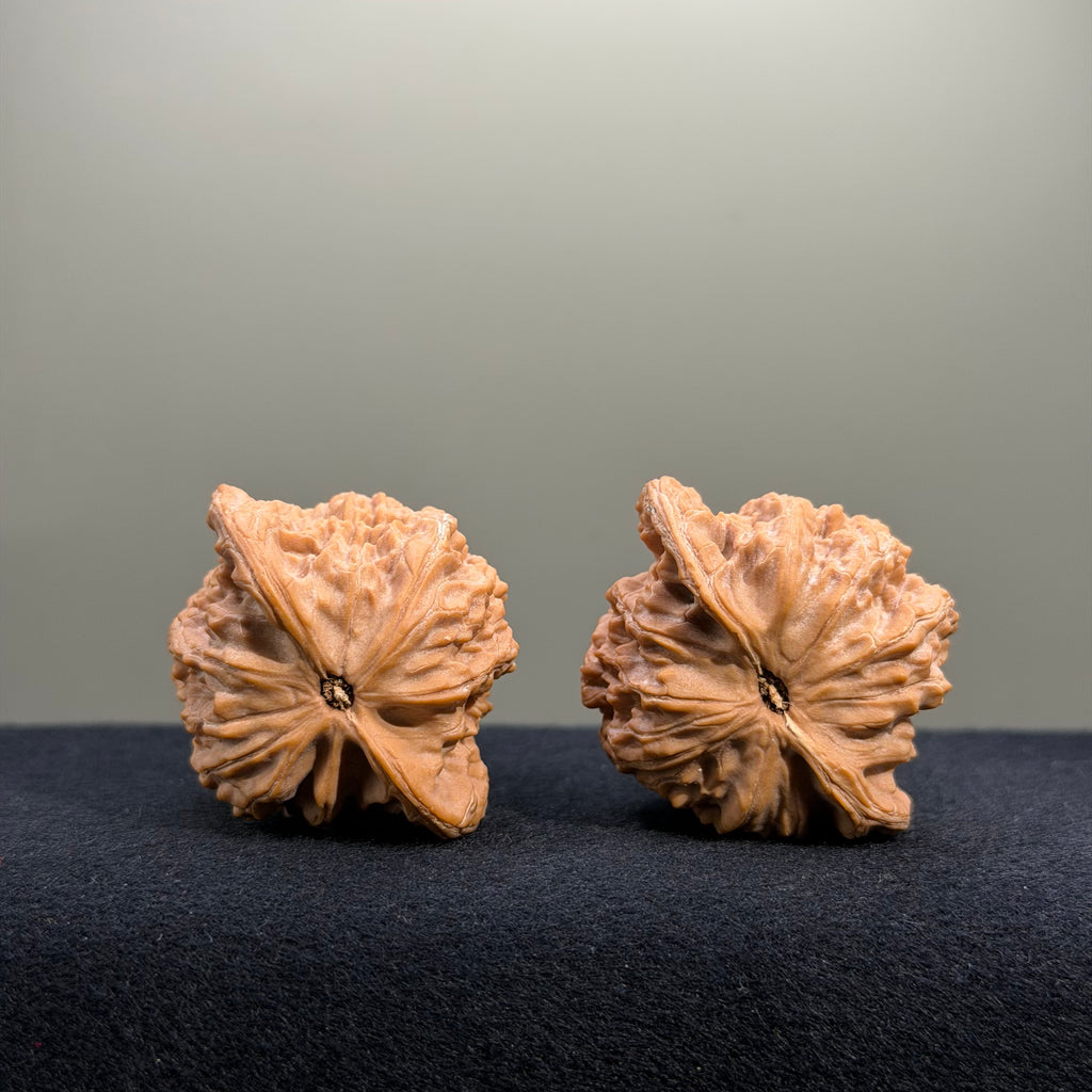 Heart Shape · Cuikai Scholar Cap Wenwan Walnut · 42mm · Natural · Select Ritual