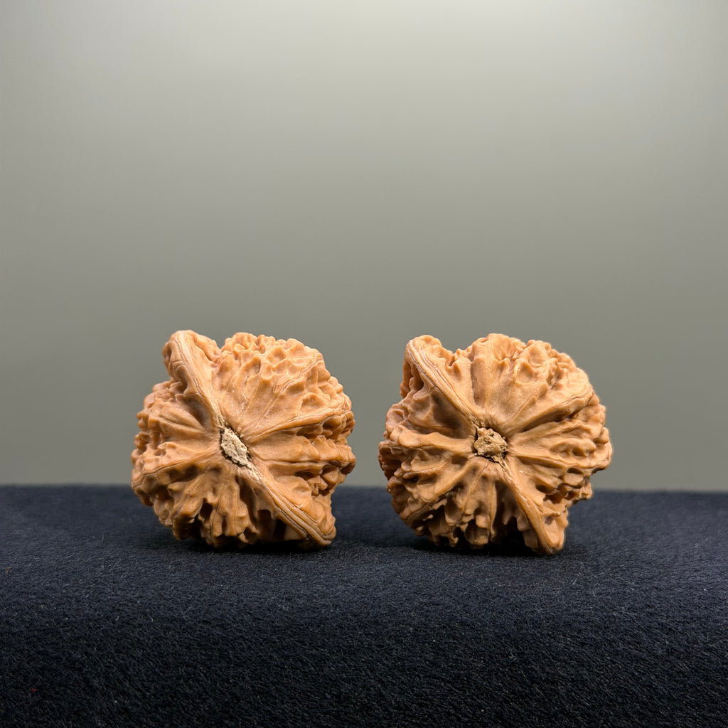 Palace Lantern Wenwan Walnut · 38mm · Natural · Select Ritual