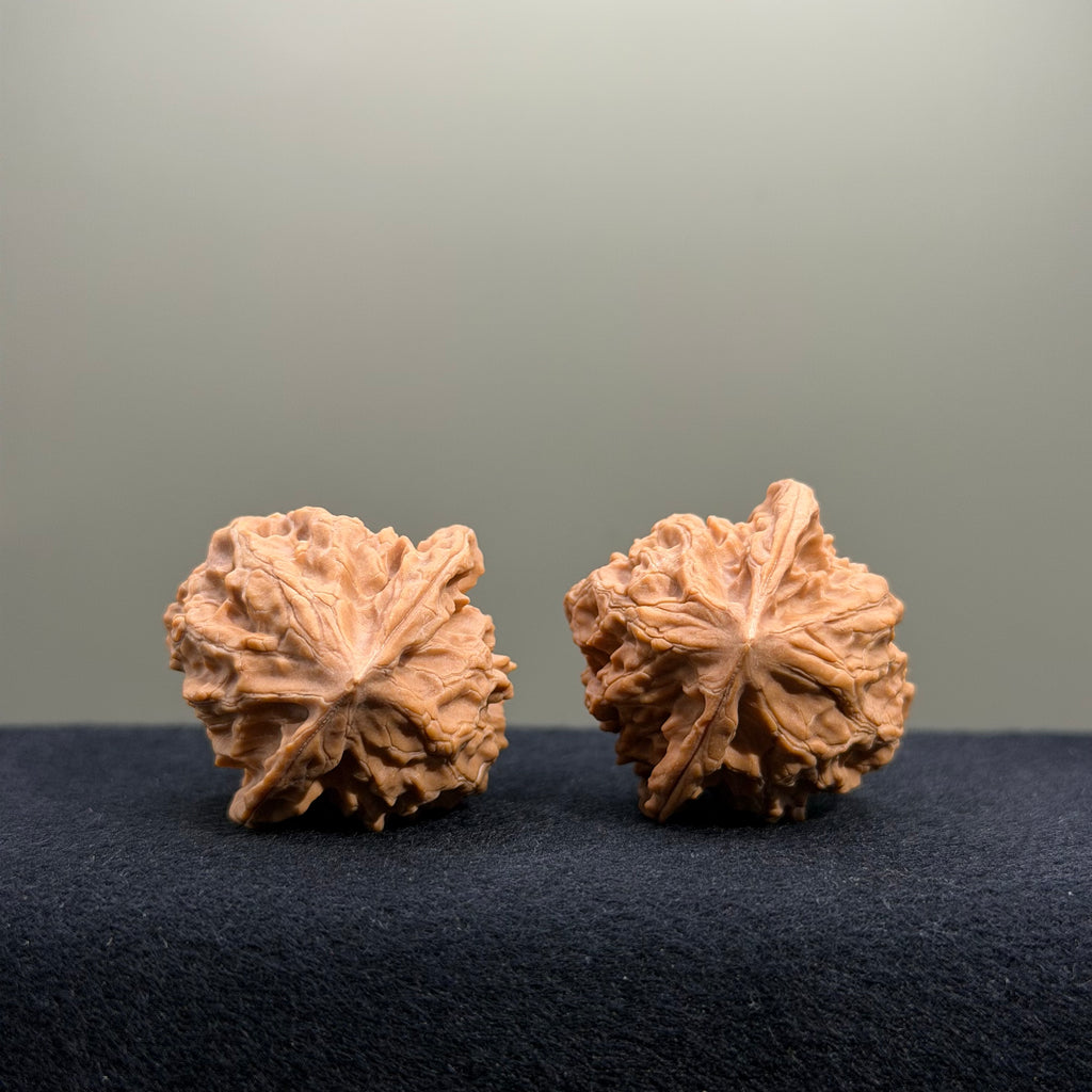 First Love Wenwan Walnut · 34mm · Natural · Entry Ritual
