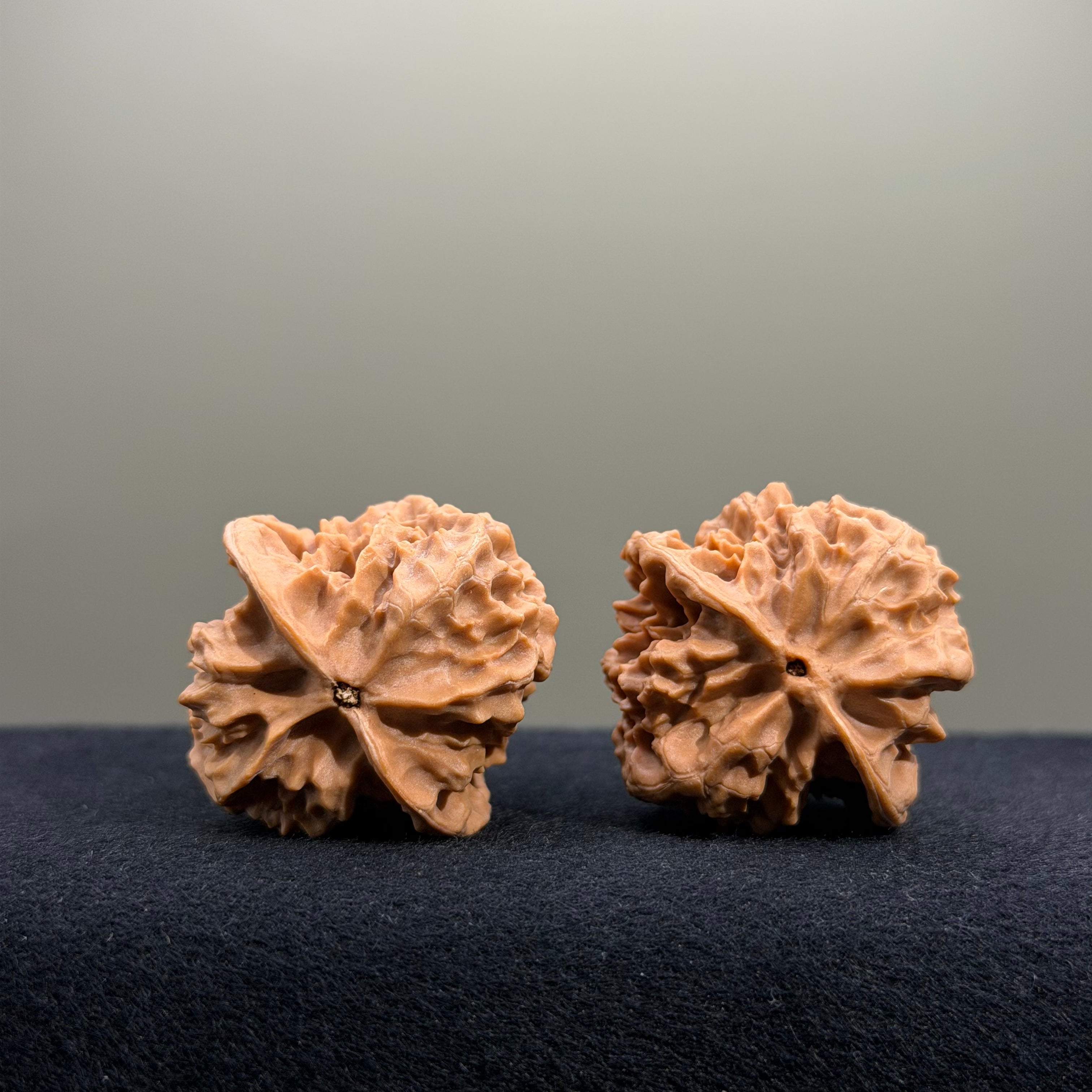 First Love Wenwan Walnut · 34mm · Natural · Entry Ritual