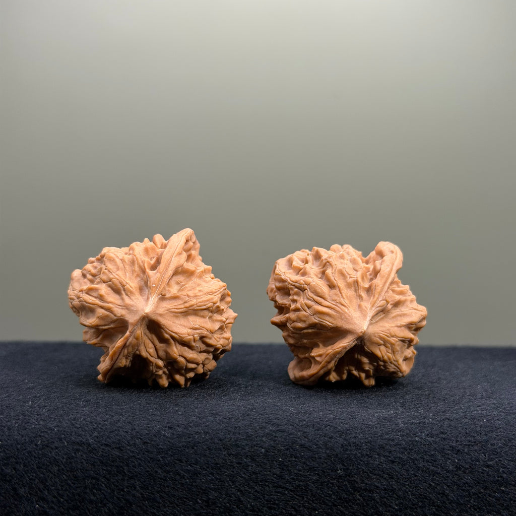 First Love Wenwan Walnut · 35mm · Natural · Entry Ritual