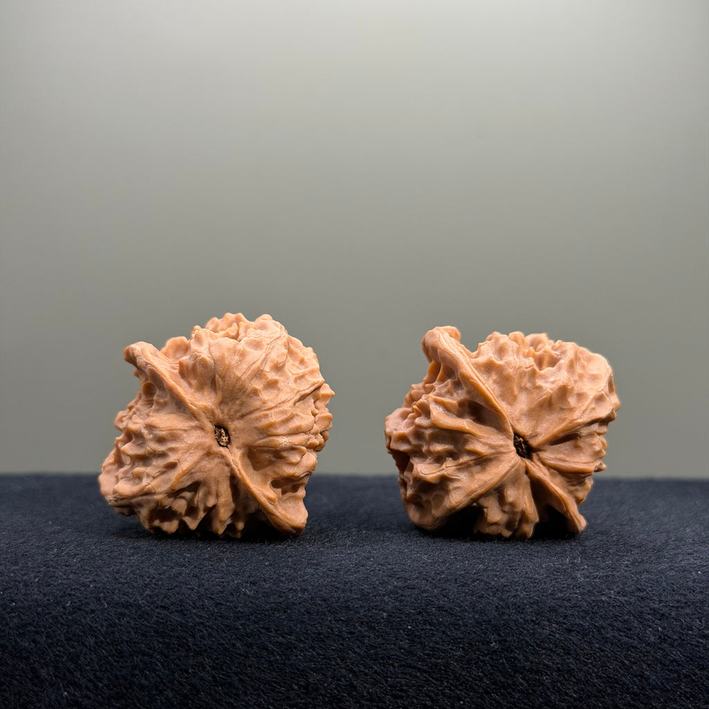 First Love Wenwan Walnut · 35mm · Natural · Entry Ritual