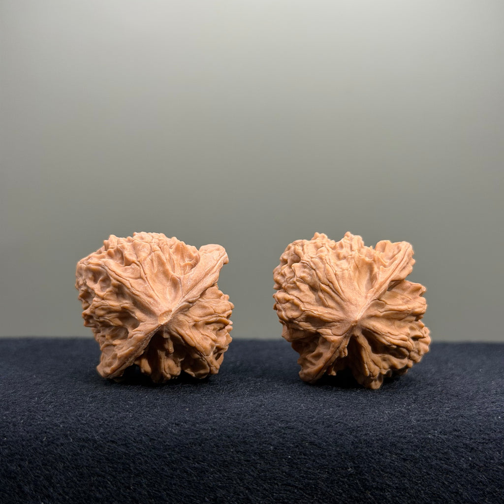 First Love Wenwan Walnut · 34mm · Natural · Entry Ritual