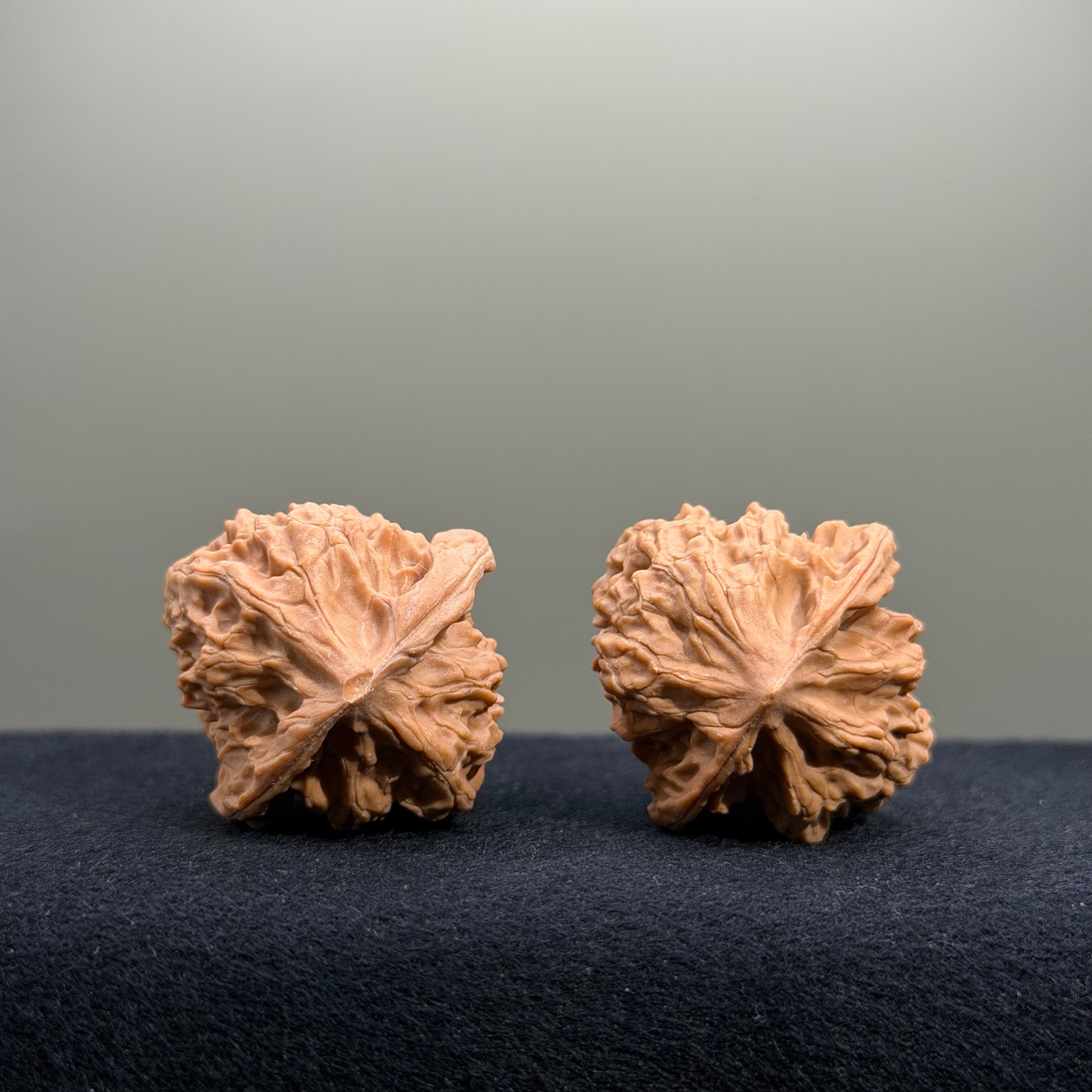 First Love Wenwan Walnut · 34mm · Natural · Entry Ritual