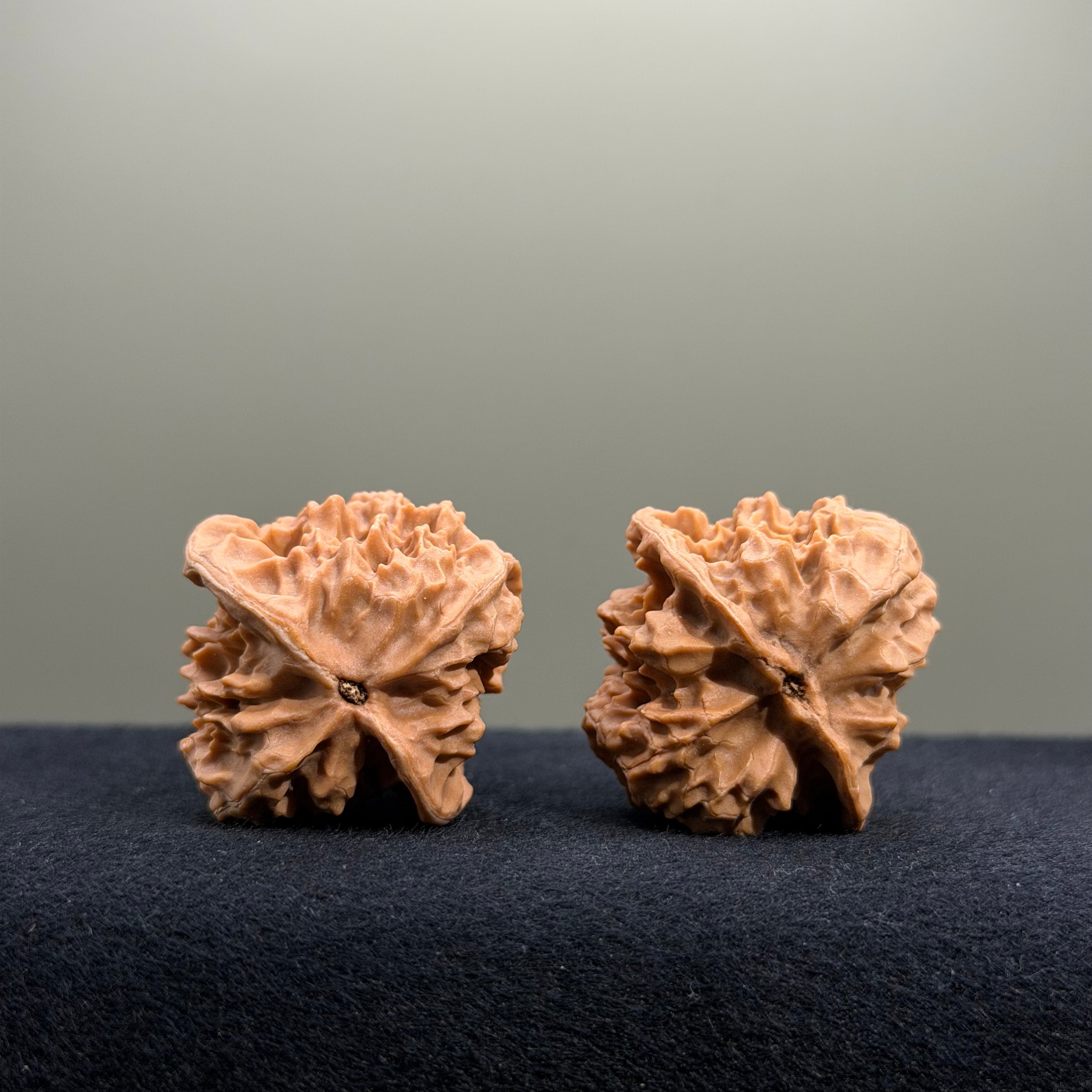 First Love Wenwan Walnut · 34mm · Natural · Entry Ritual