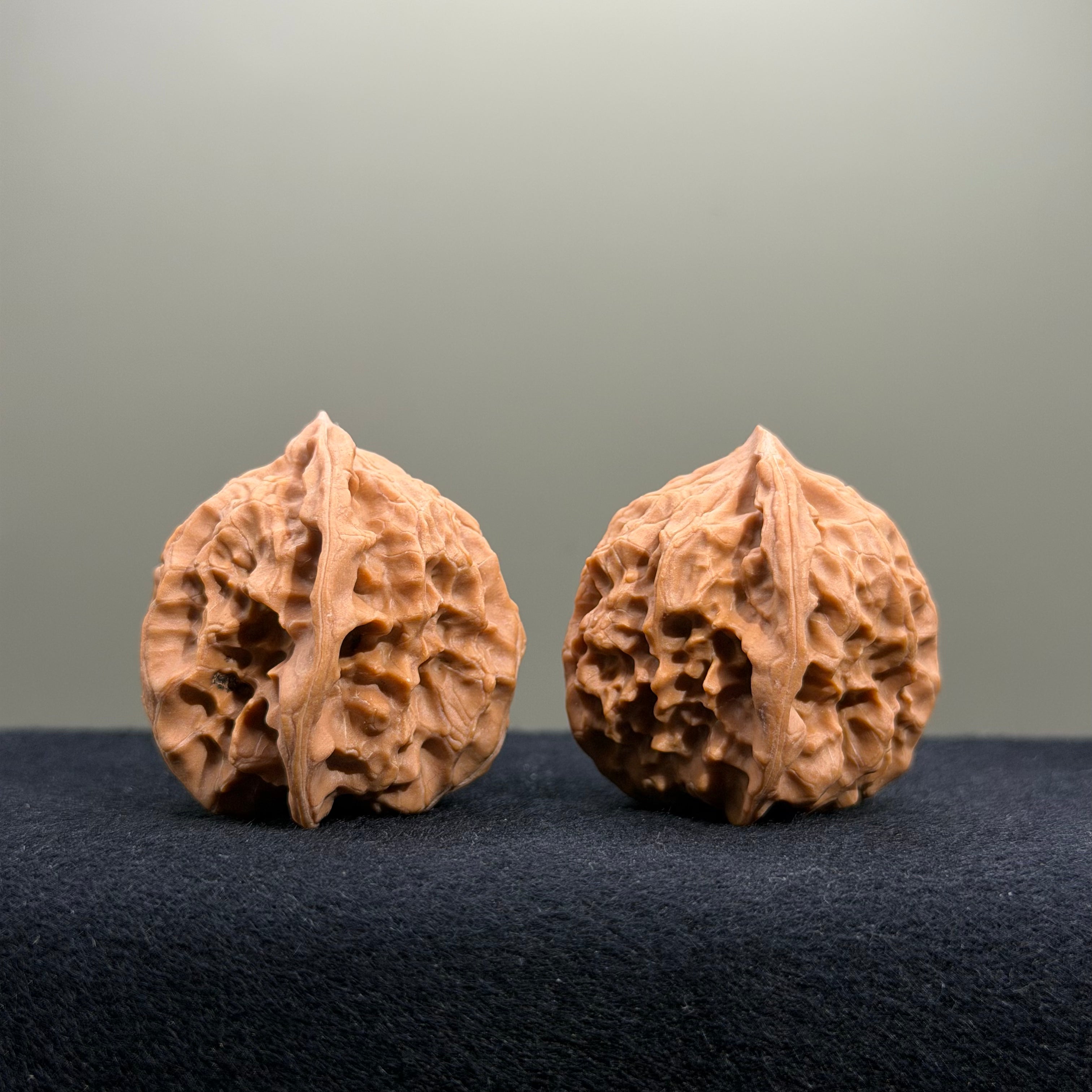 First Love Wenwan Walnut · 37mm · Natural · Entry Ritual
