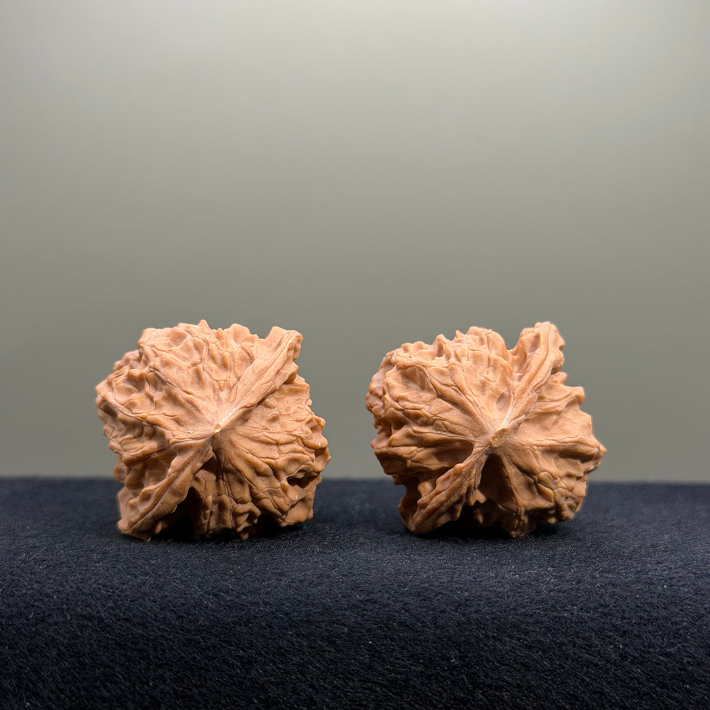 First Love Wenwan Walnut · 37mm · Natural · Entry Ritual