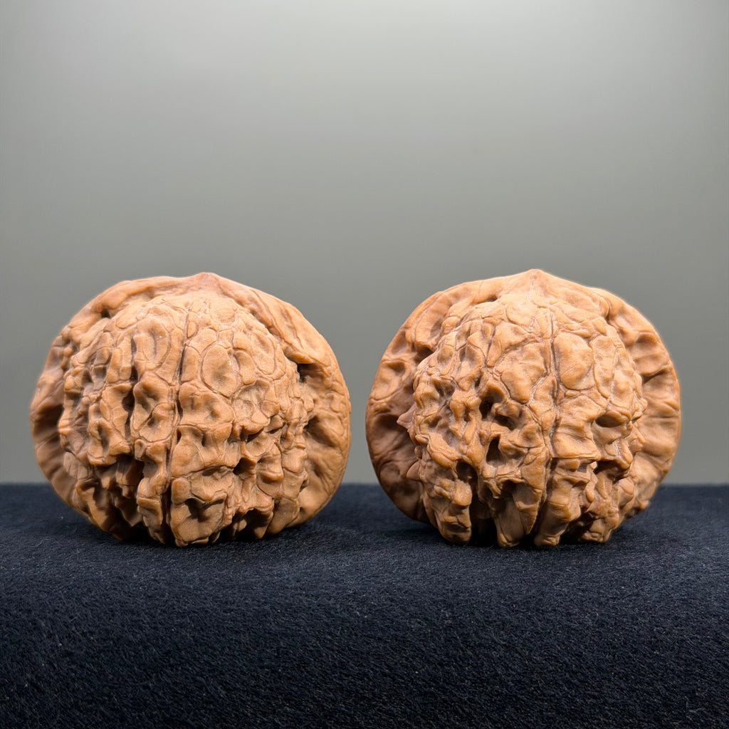 Dragon Cauldron Wenwan Walnut · 50mm · Natural · Collector Ritual