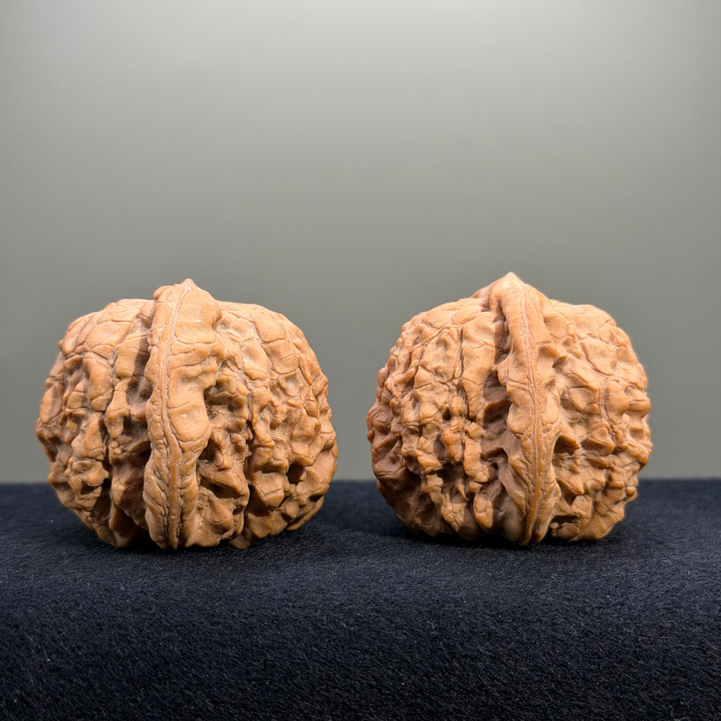 Dragon Cauldron Wenwan Walnut · 50mm · Natural · Collector Ritual