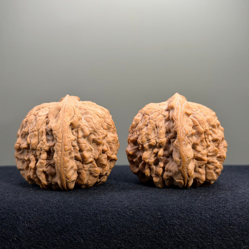 Dragon Cauldron Wenwan Walnut · 50mm · Natural · Collector Ritual