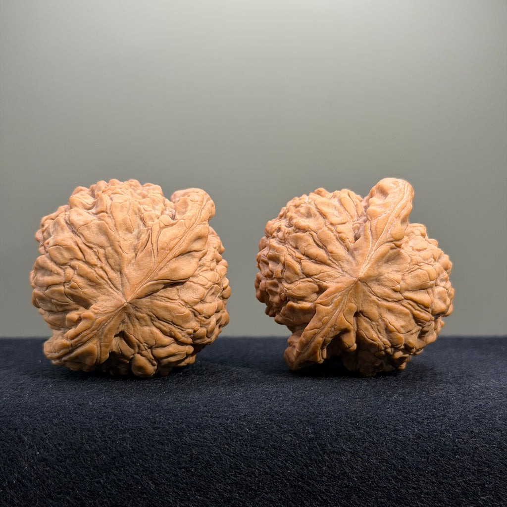 Dragon Cauldron Wenwan Walnut · 50mm · Natural · Collector Ritual
